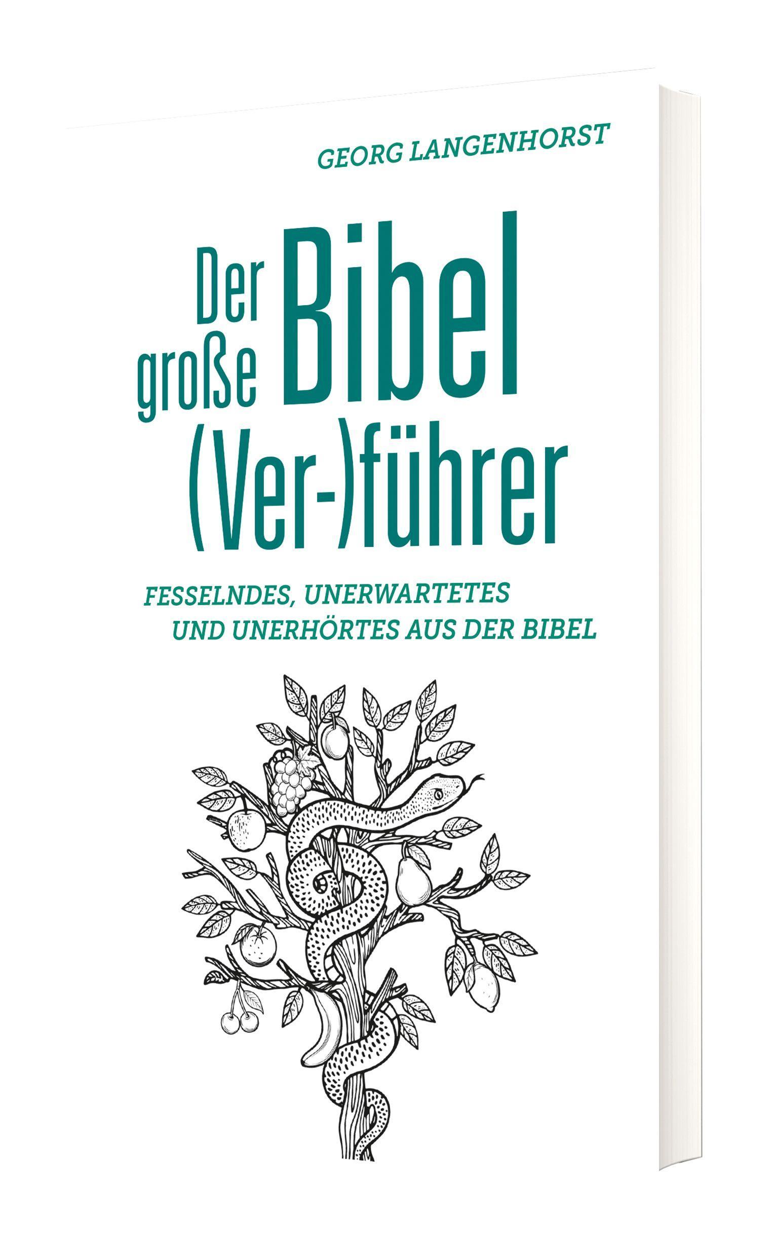 Vorderes Coverbild Der große Bibel (Ver-)führer