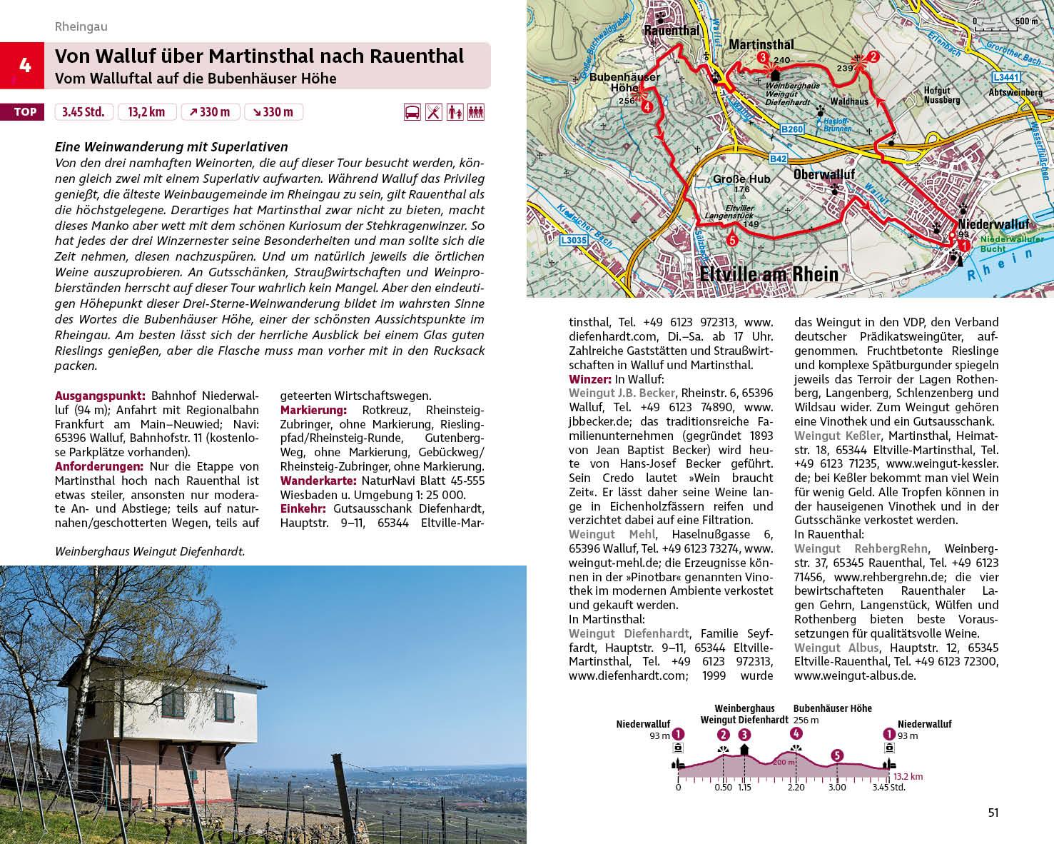 Beispielinhalt (Bild) Wandern und Wein - Rheingau - Rheinhessen mit Bergstraße.