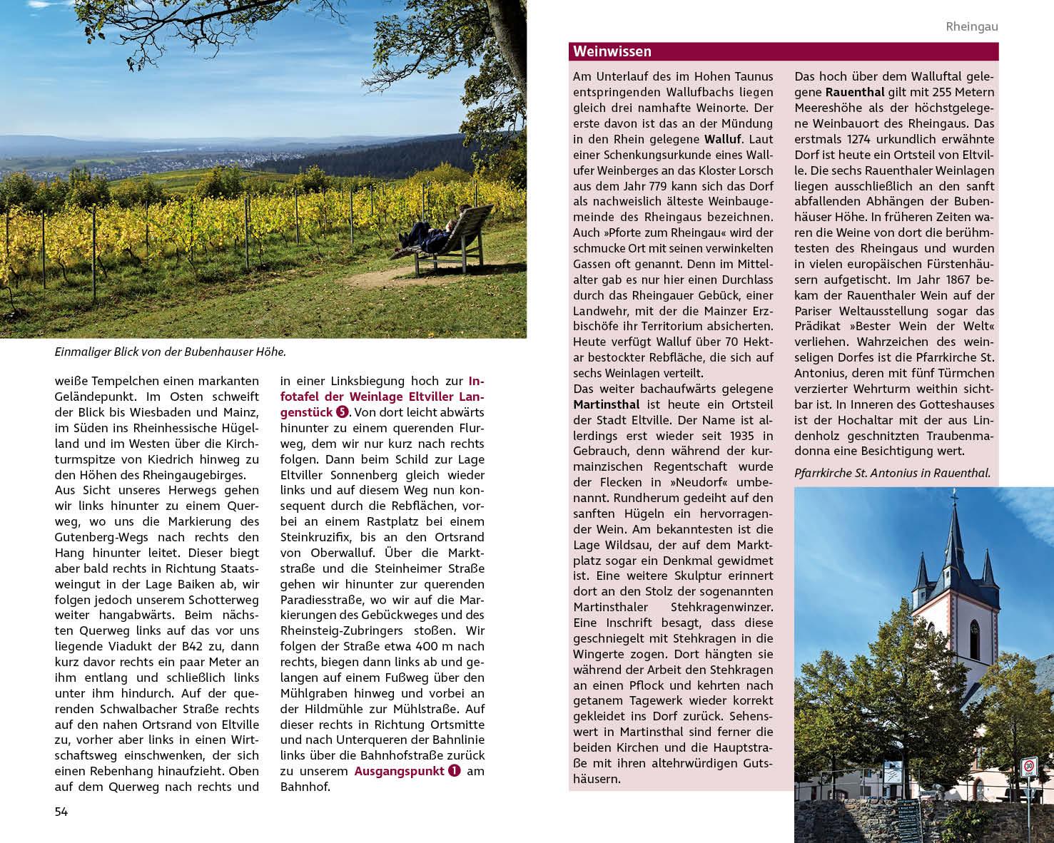 Beispielinhalt (Bild) Wandern und Wein - Rheingau - Rheinhessen mit Bergstraße.
