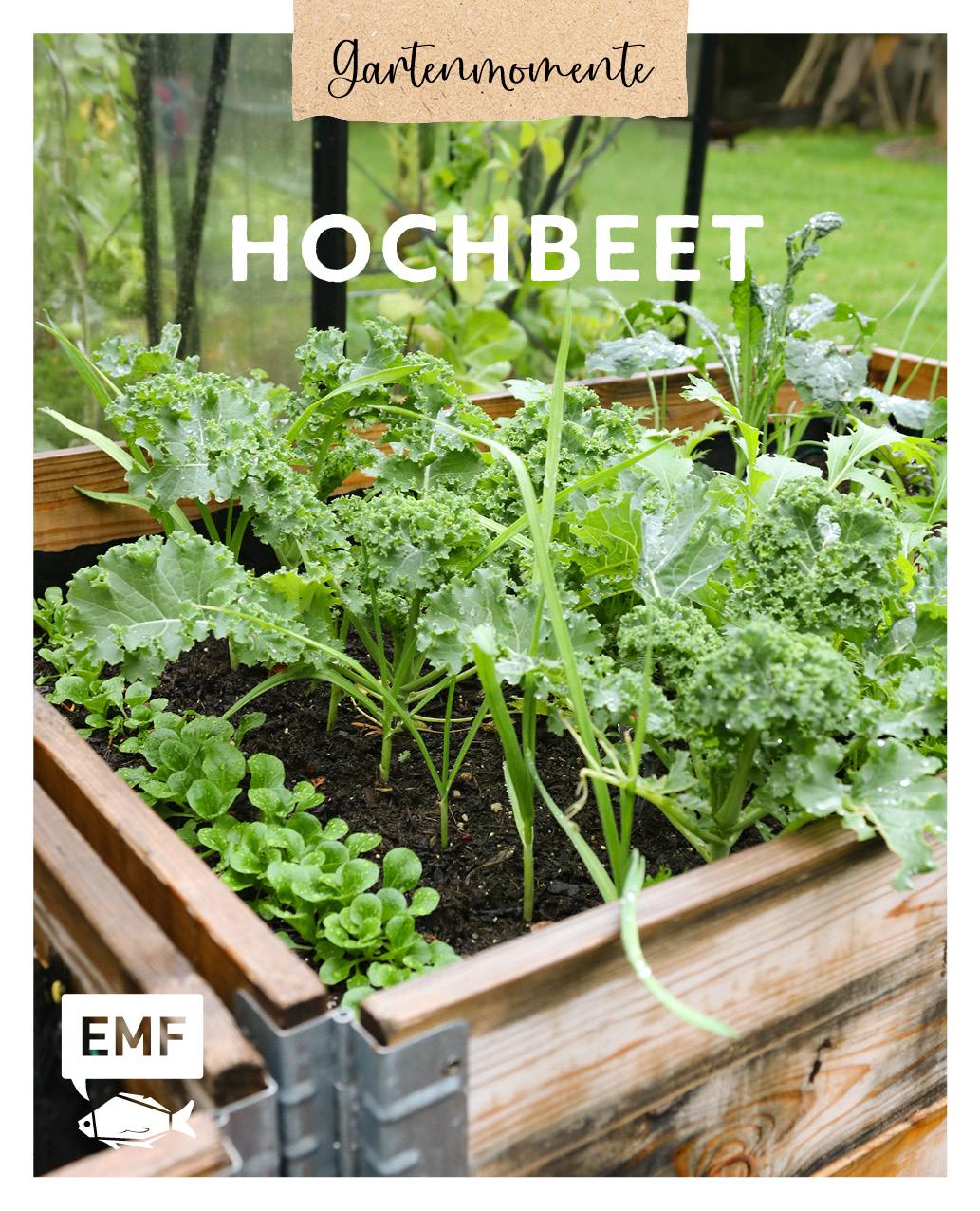 Vorderes Coverbild Gartenmomente: Hochbeet