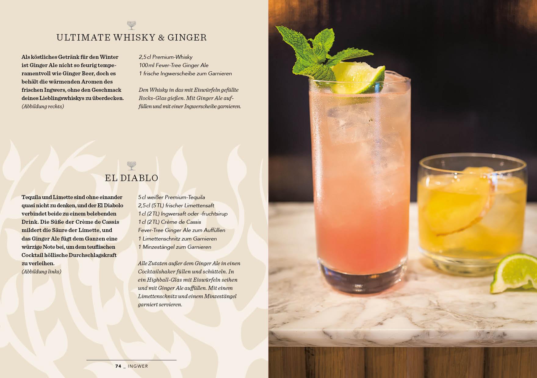 Beispielinhalt (Bild) Fever Tree - Cocktails