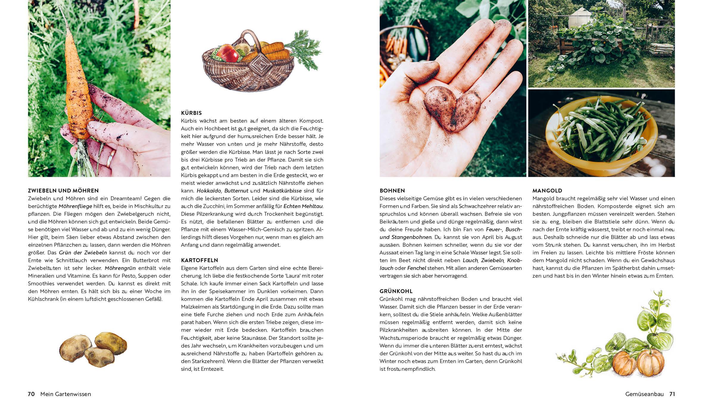 Beispielinhalt (Bild) Kleine Freiheit Garten - Glücklich im Schrebergarten