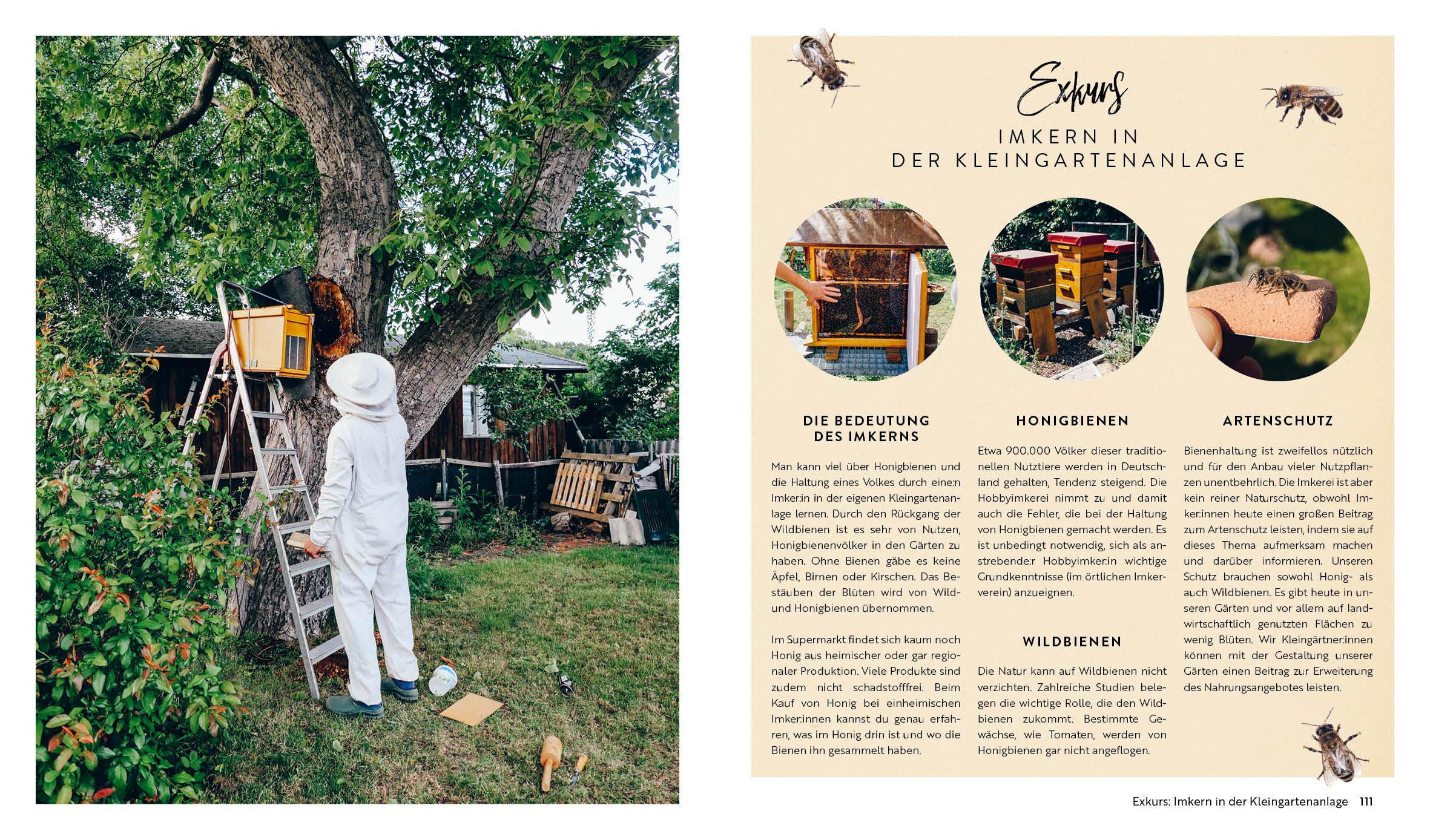 Beispielinhalt (Bild) Kleine Freiheit Garten - Glücklich im Schrebergarten