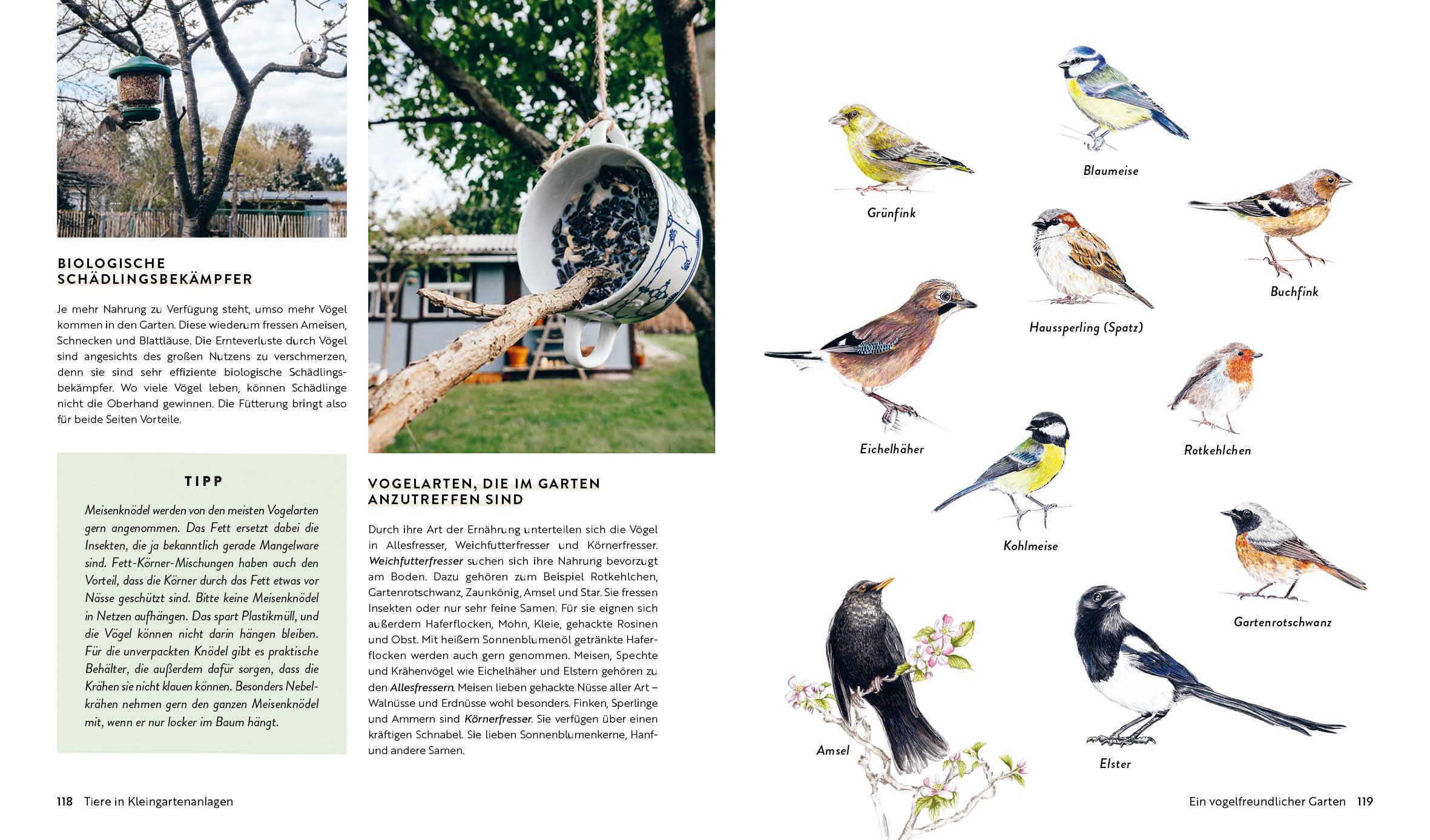 Beispielinhalt (Bild) Kleine Freiheit Garten - Glücklich im Schrebergarten