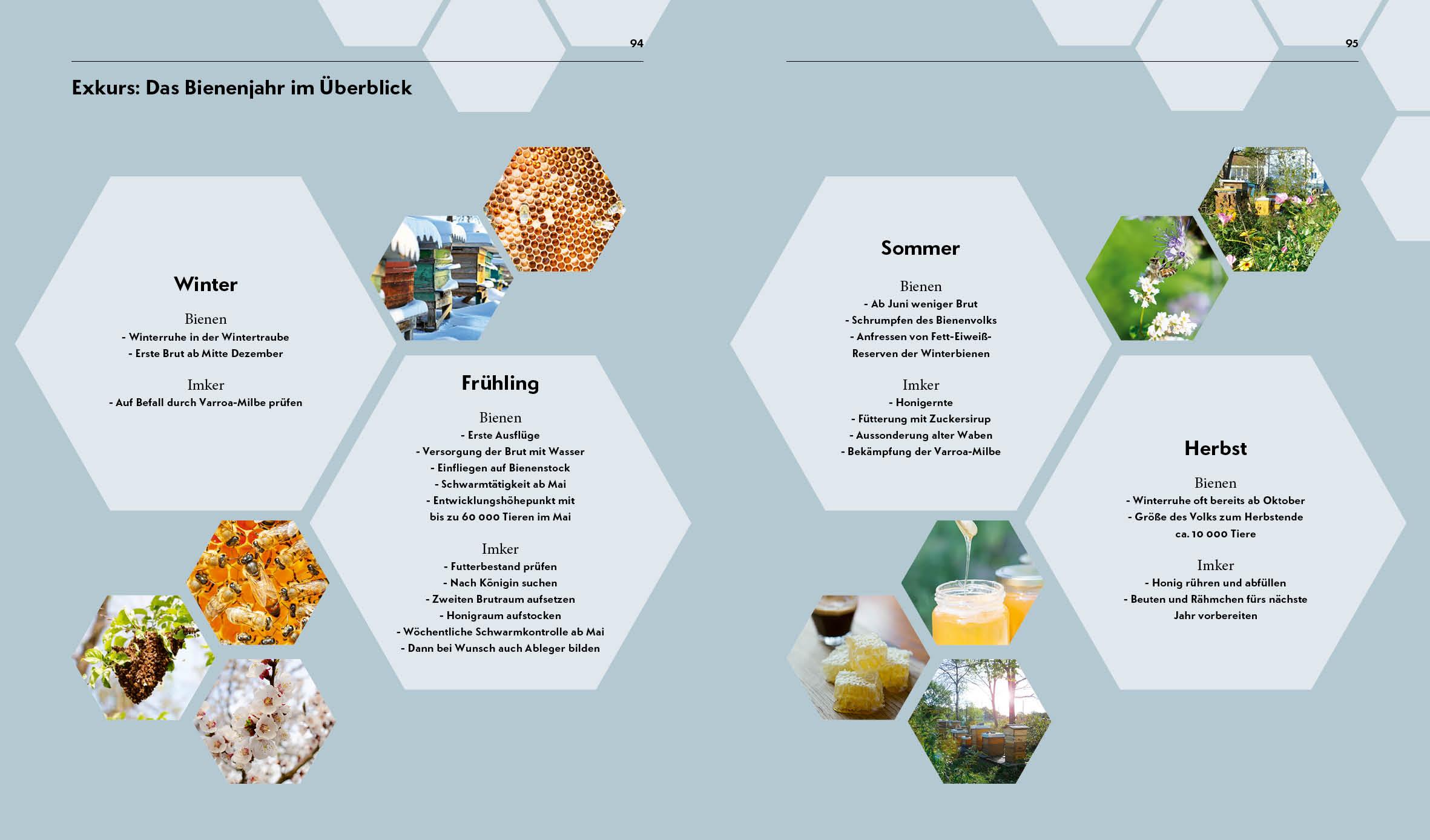 Beispielinhalt (Bild) Imkern - Bienenhaltung für Einsteiger