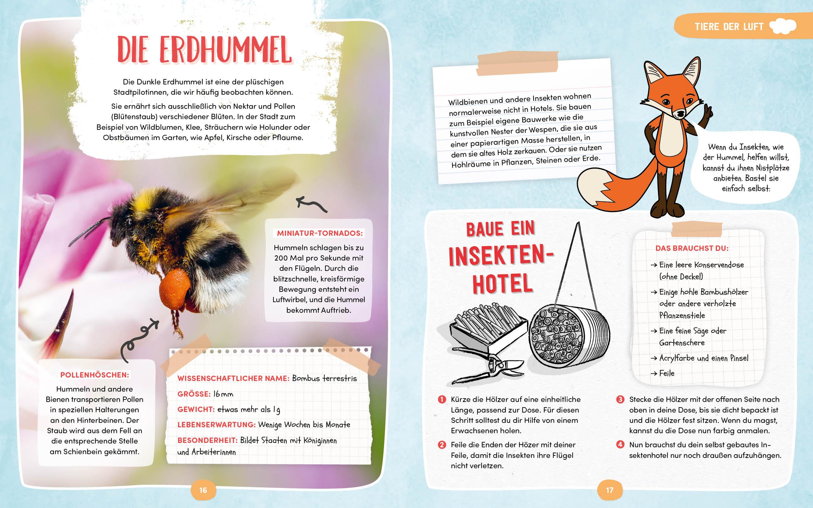 Beispielinhalt (Bild) Wilde Tiere in der Stadt - Das Natur-Mitmachbuch