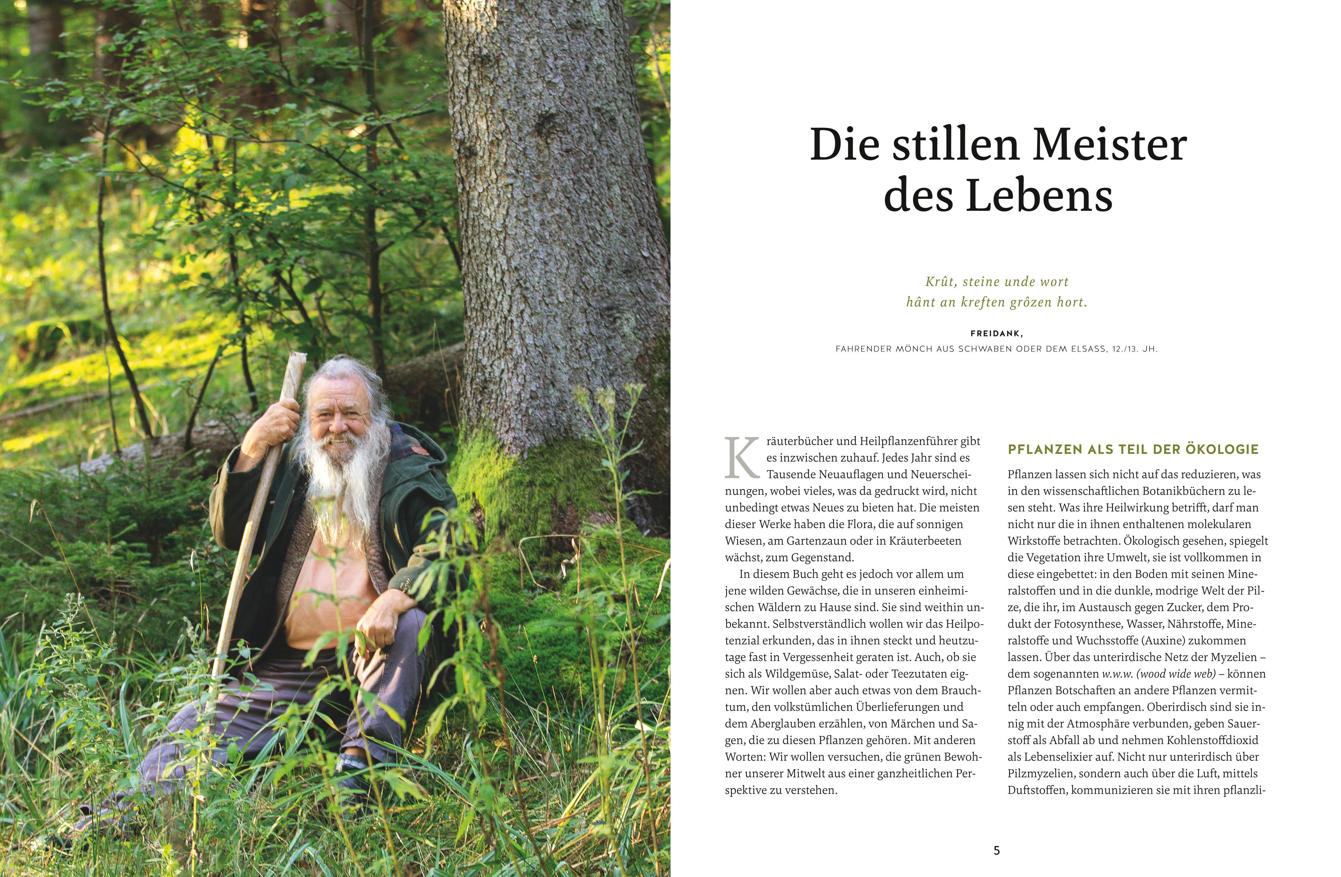 Beispielinhalt (Bild) Meine Kräuter des Waldes