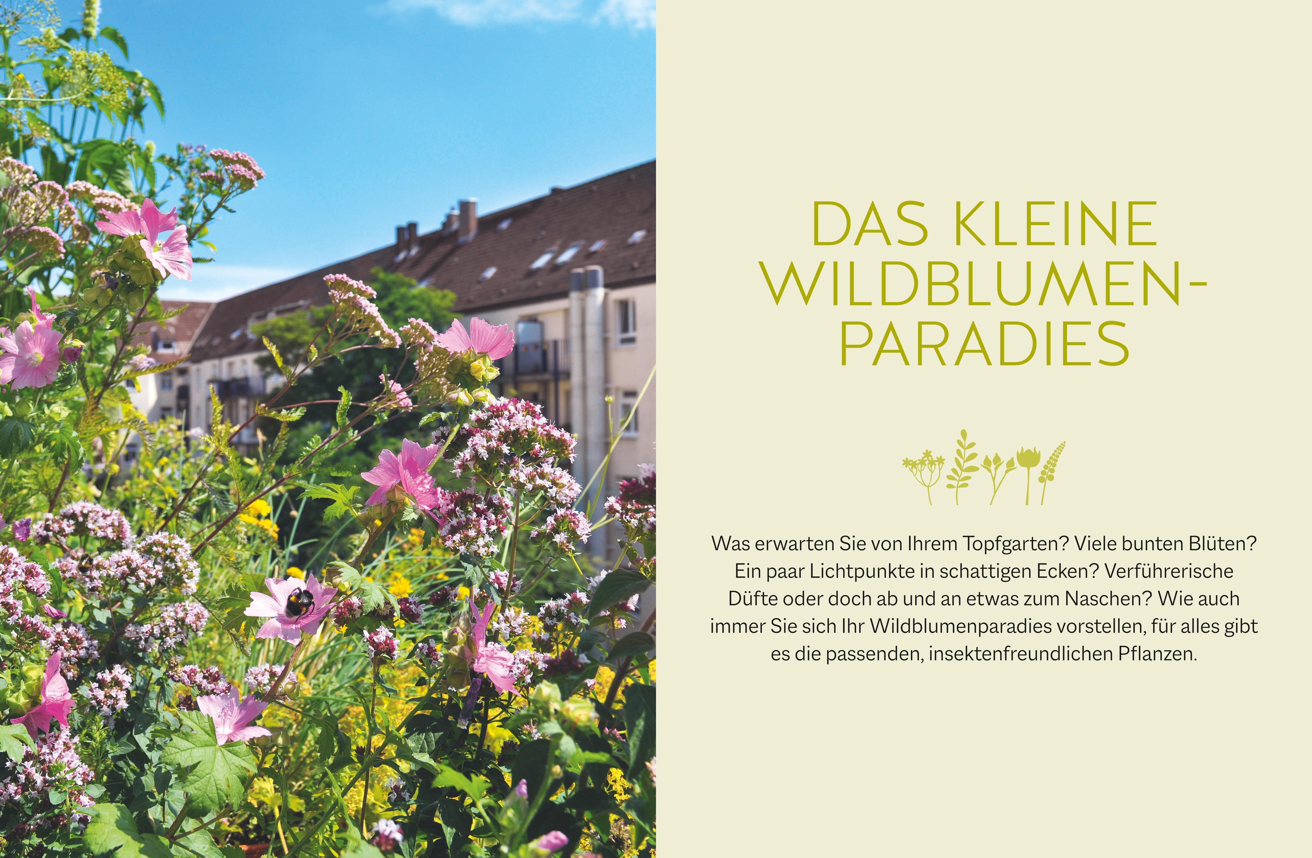 Beispielinhalt (Bild) Wildblumen für Balkon und Terrasse
