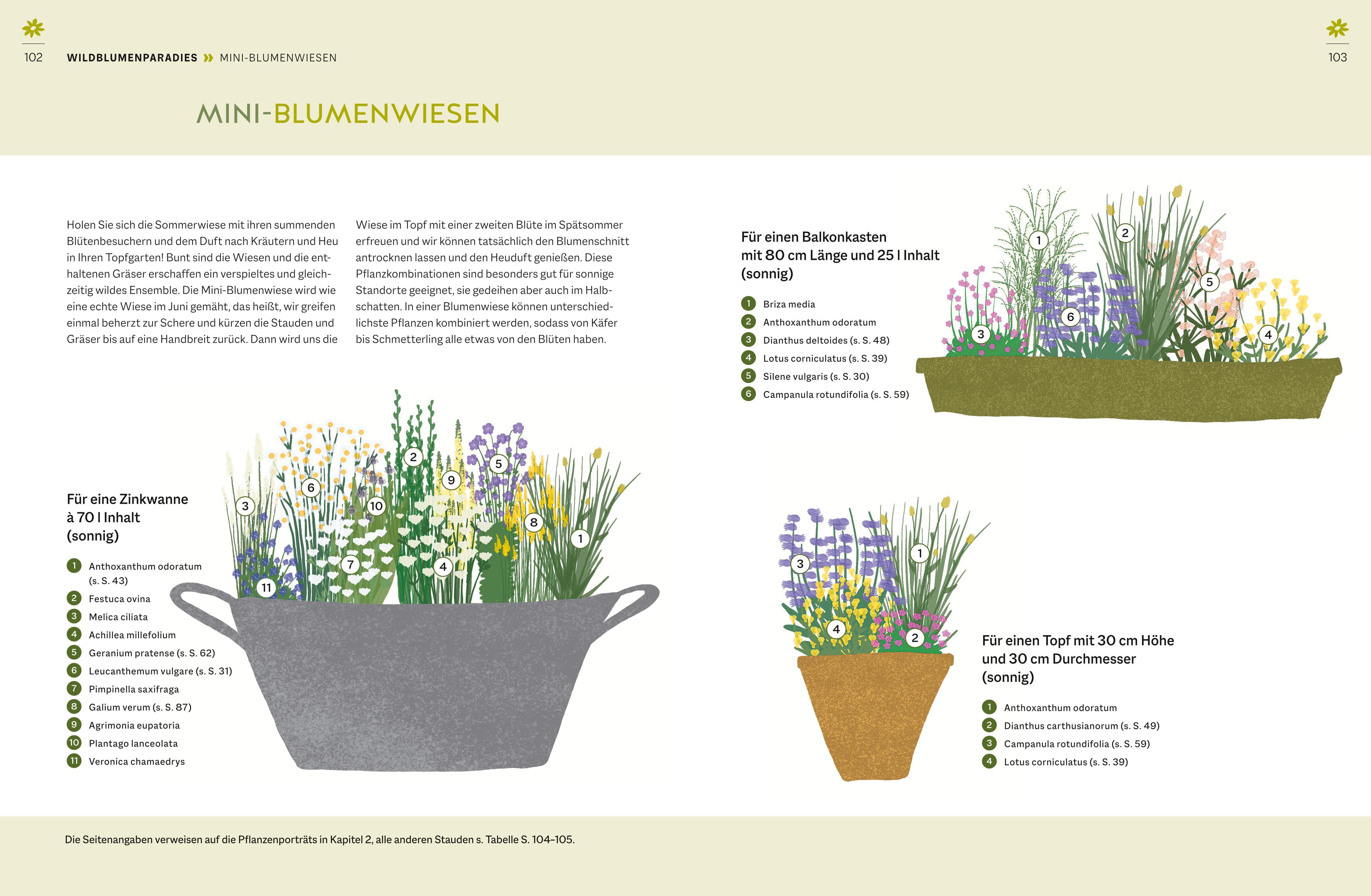 Beispielinhalt (Bild) Wildblumen für Balkon und Terrasse