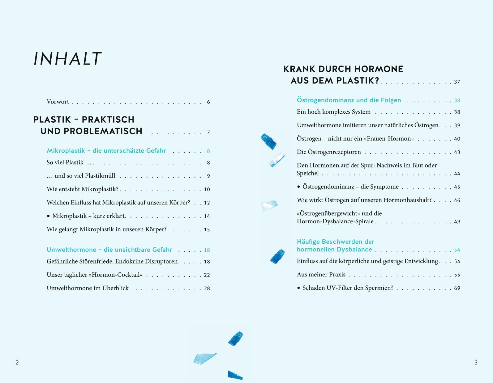 Beispielinhalt (Bild) Mikroplastik