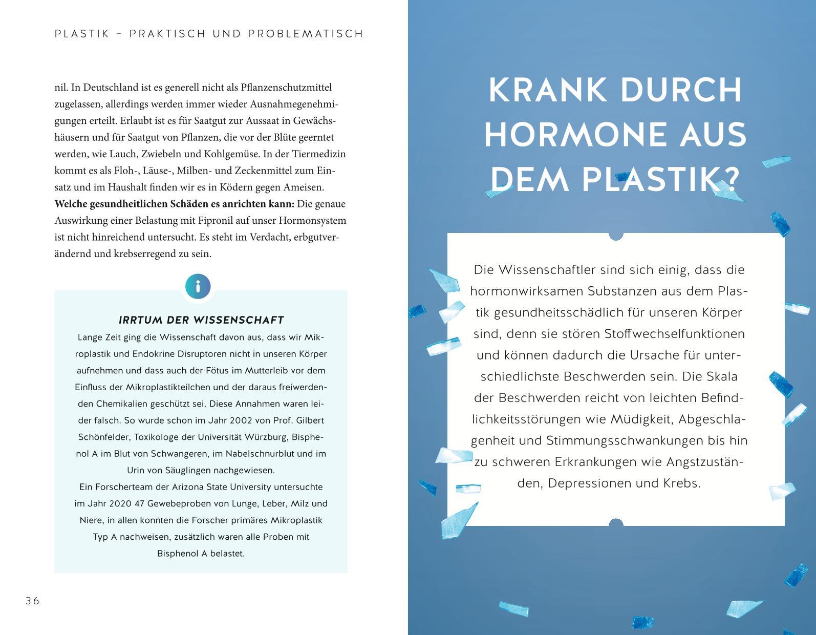 Beispielinhalt (Bild) Mikroplastik
