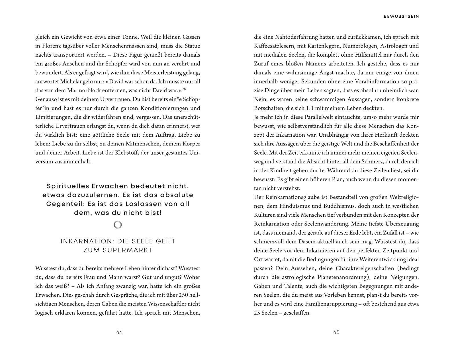 Beispielinhalt (Bild) Soul Master  - SPIEGEL-Bestseller #1