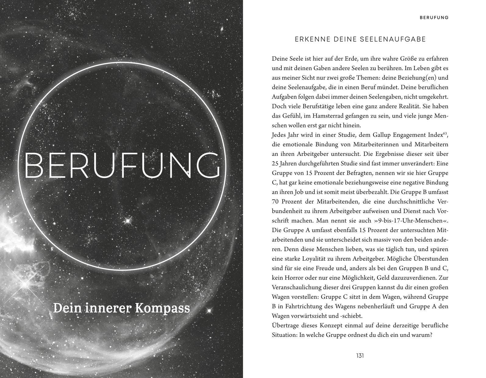 Beispielinhalt (Bild) Soul Master  - SPIEGEL-Bestseller #1