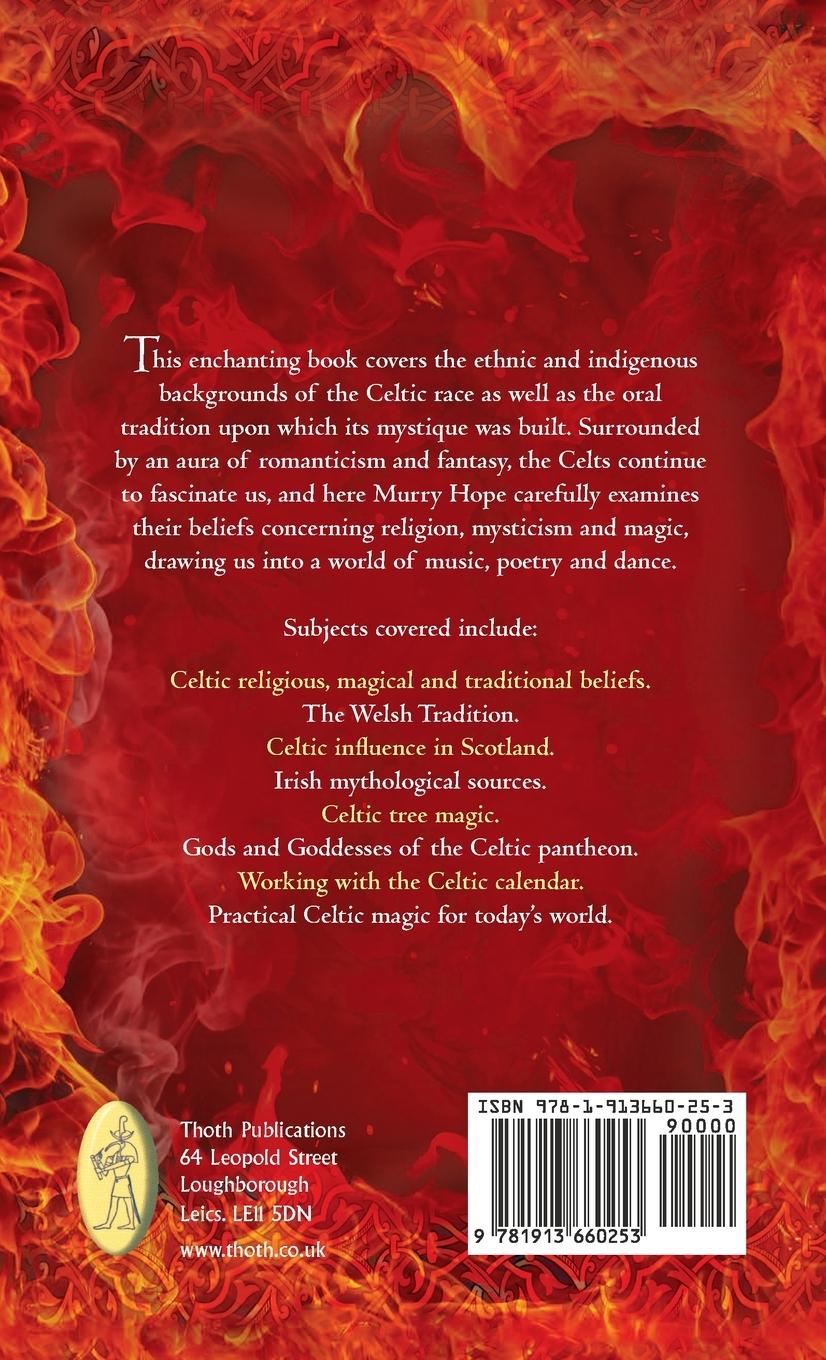 Rückseitencover PRACTICAL CELTIC MAGIC