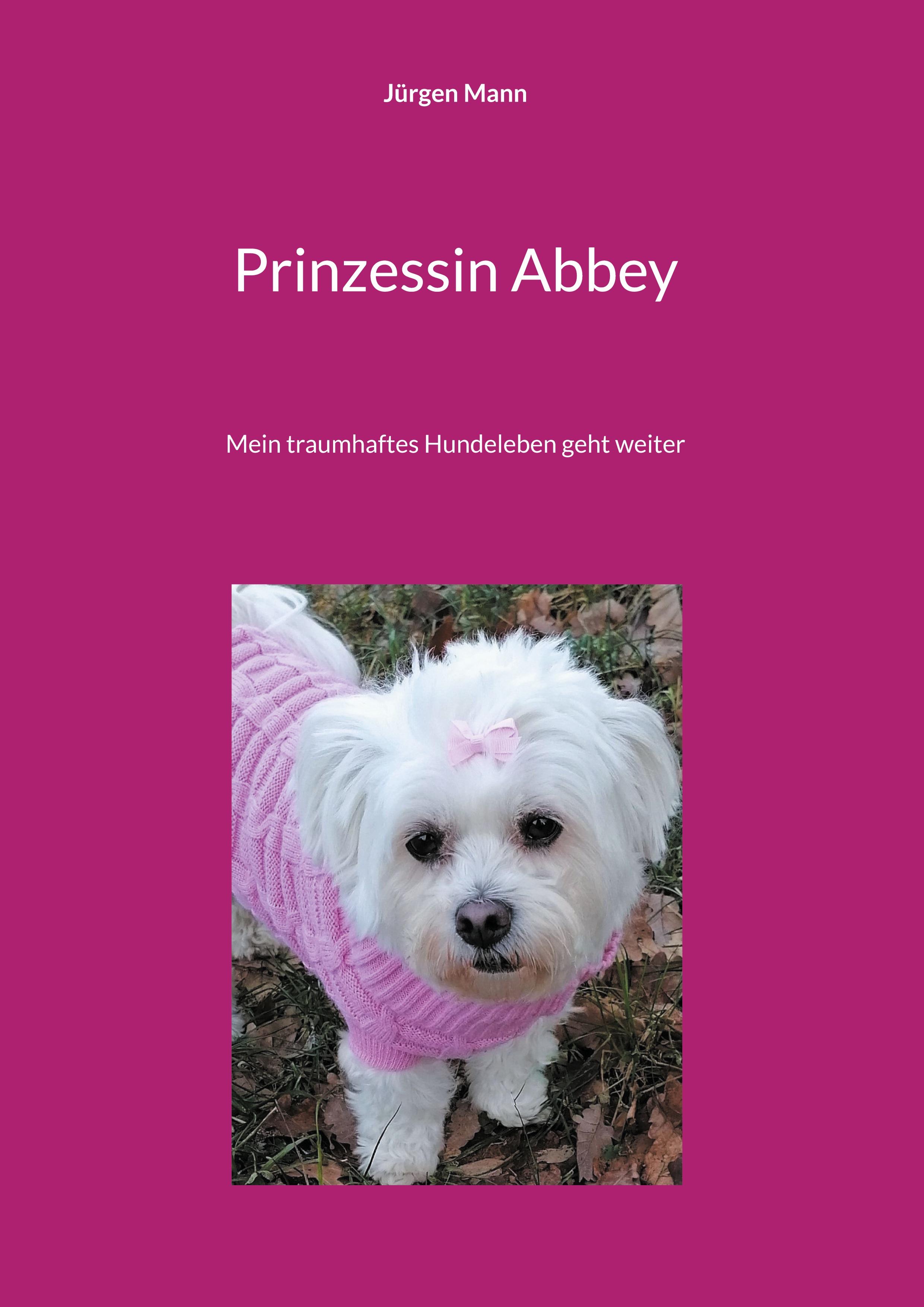 Vorderes Coverbild Prinzessin Abbey