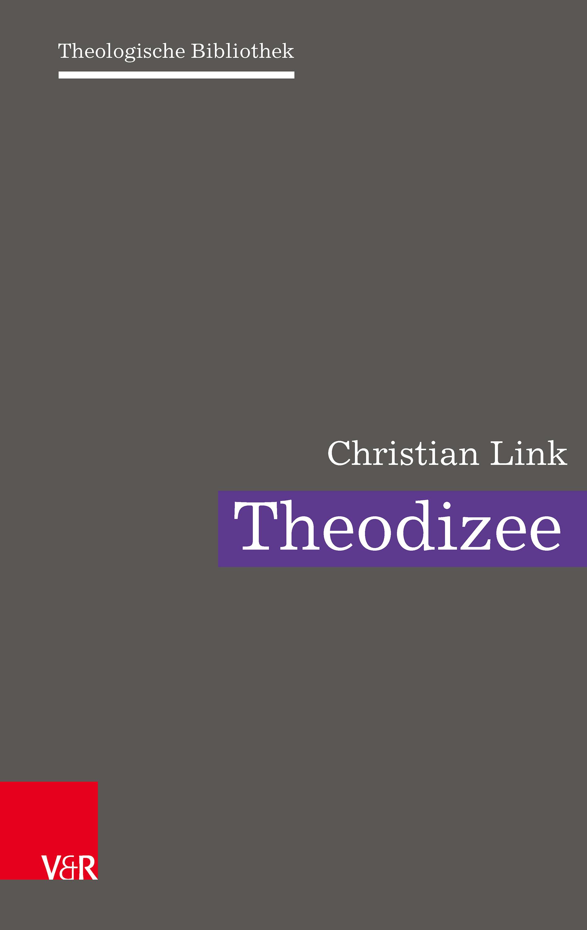 Vorderes Coverbild Theodizee