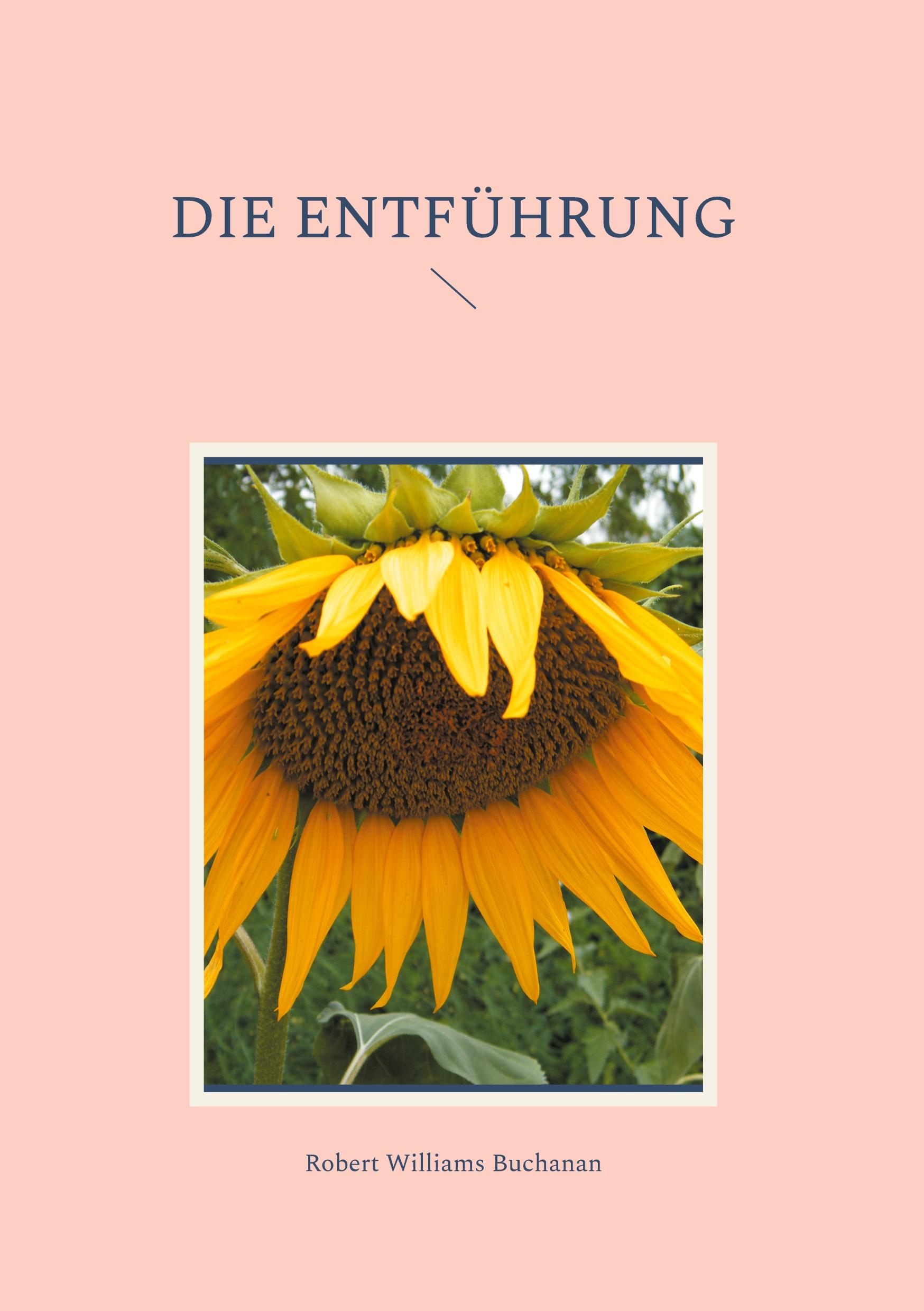 Vorderes Coverbild Die Entführung