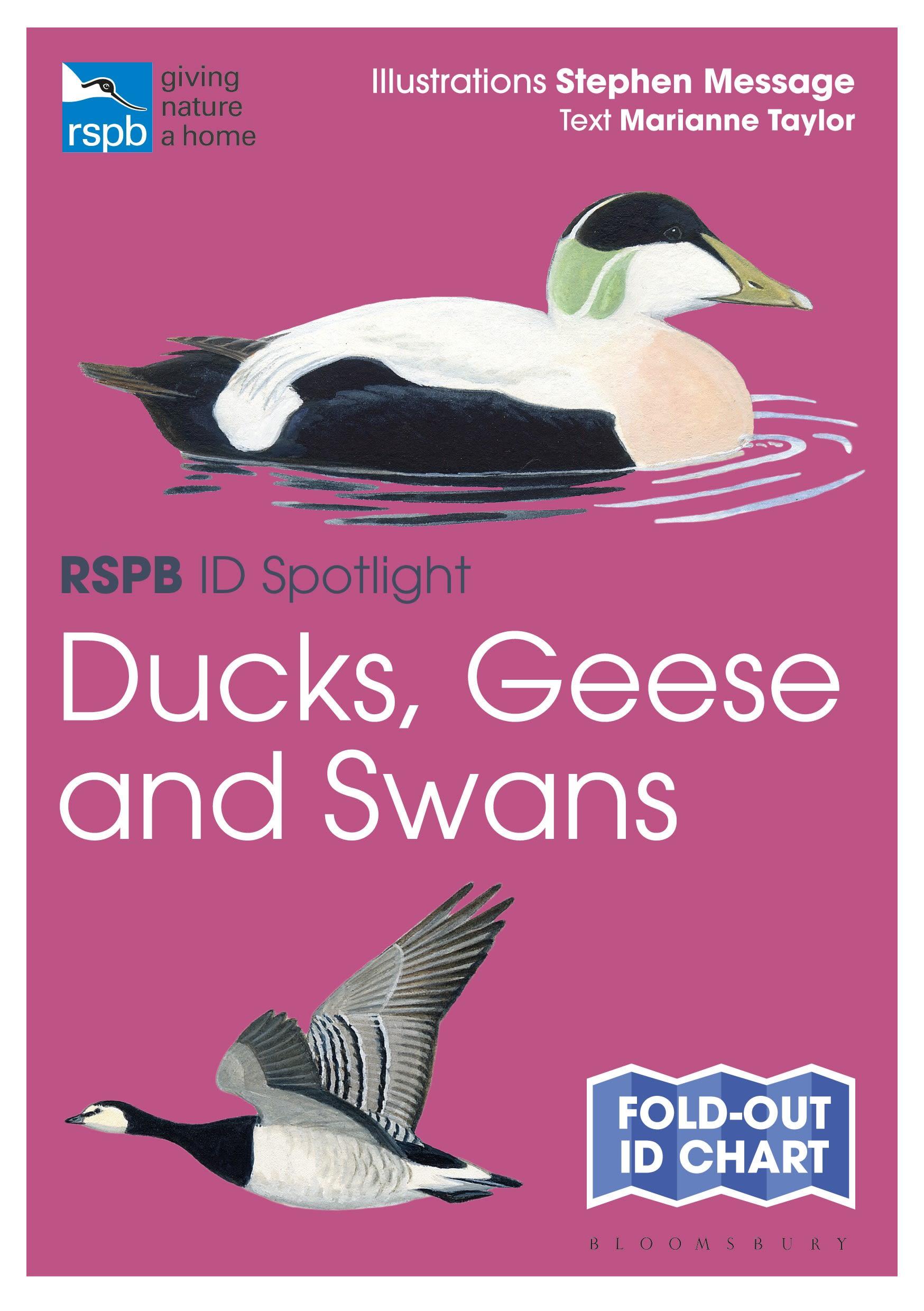 Vorderes Coverbild RSPB ID Spotlight - Ducks, Geese and Swans