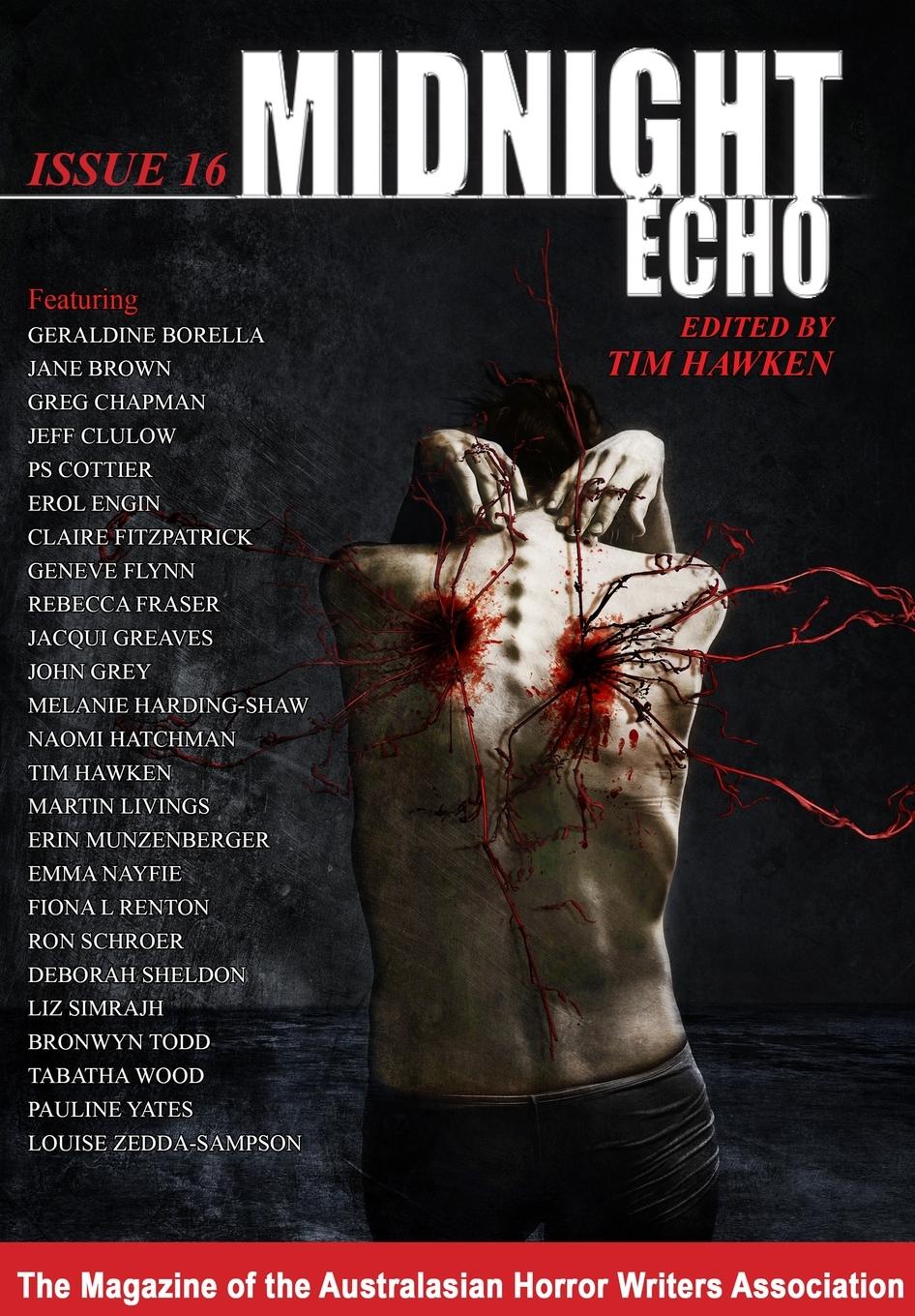 Vorderes Coverbild Midnight Echo 16