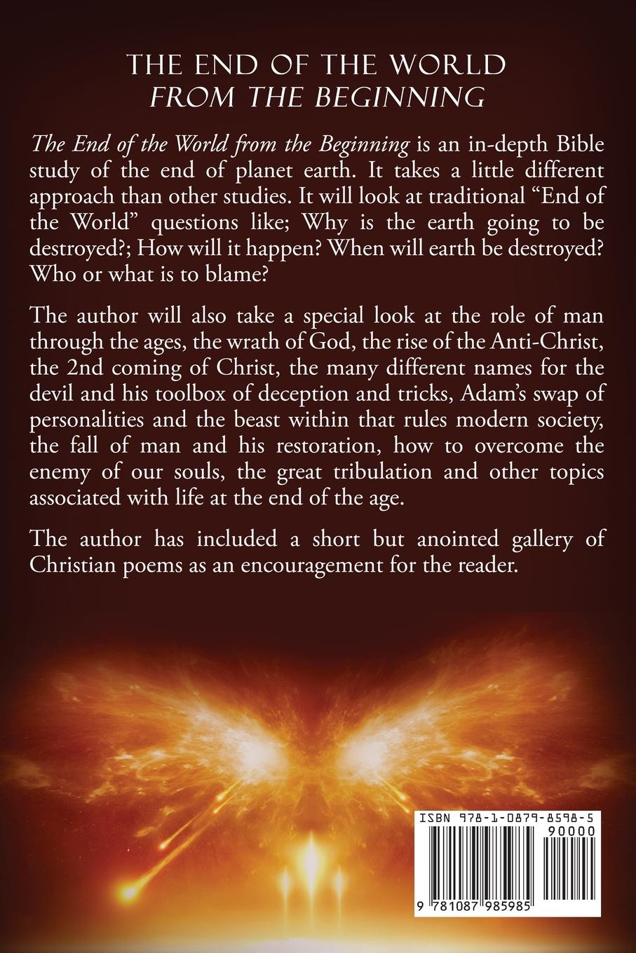 Rückseitencover The End of The world From The Beginning