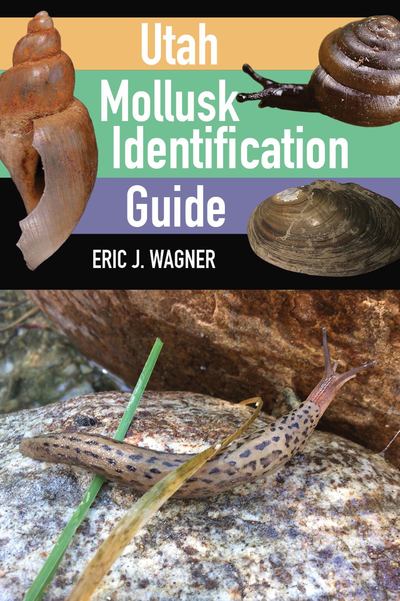 Vorderes Coverbild Utah Mollusk Identification Guide