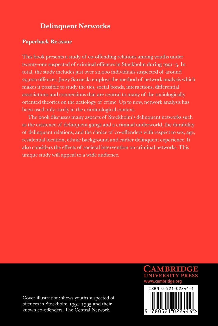 Rückseitencover Delinquent Networks