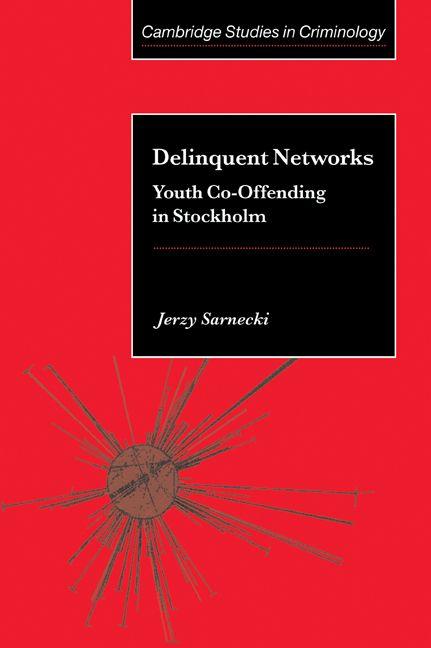 Vorderes Coverbild Delinquent Networks