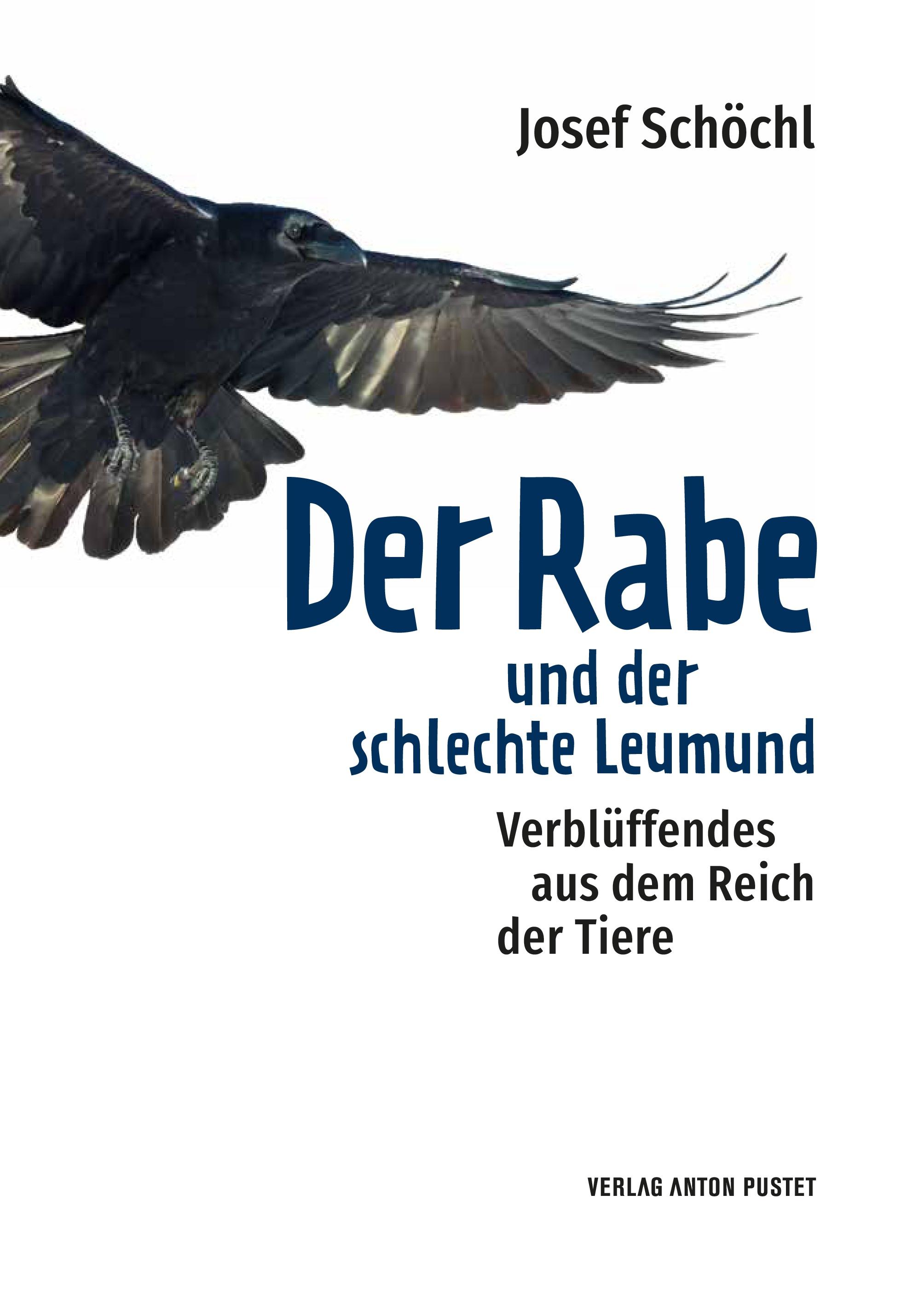 Beispielinhalt (Bild) Der Rabe und der schlechte Leumund