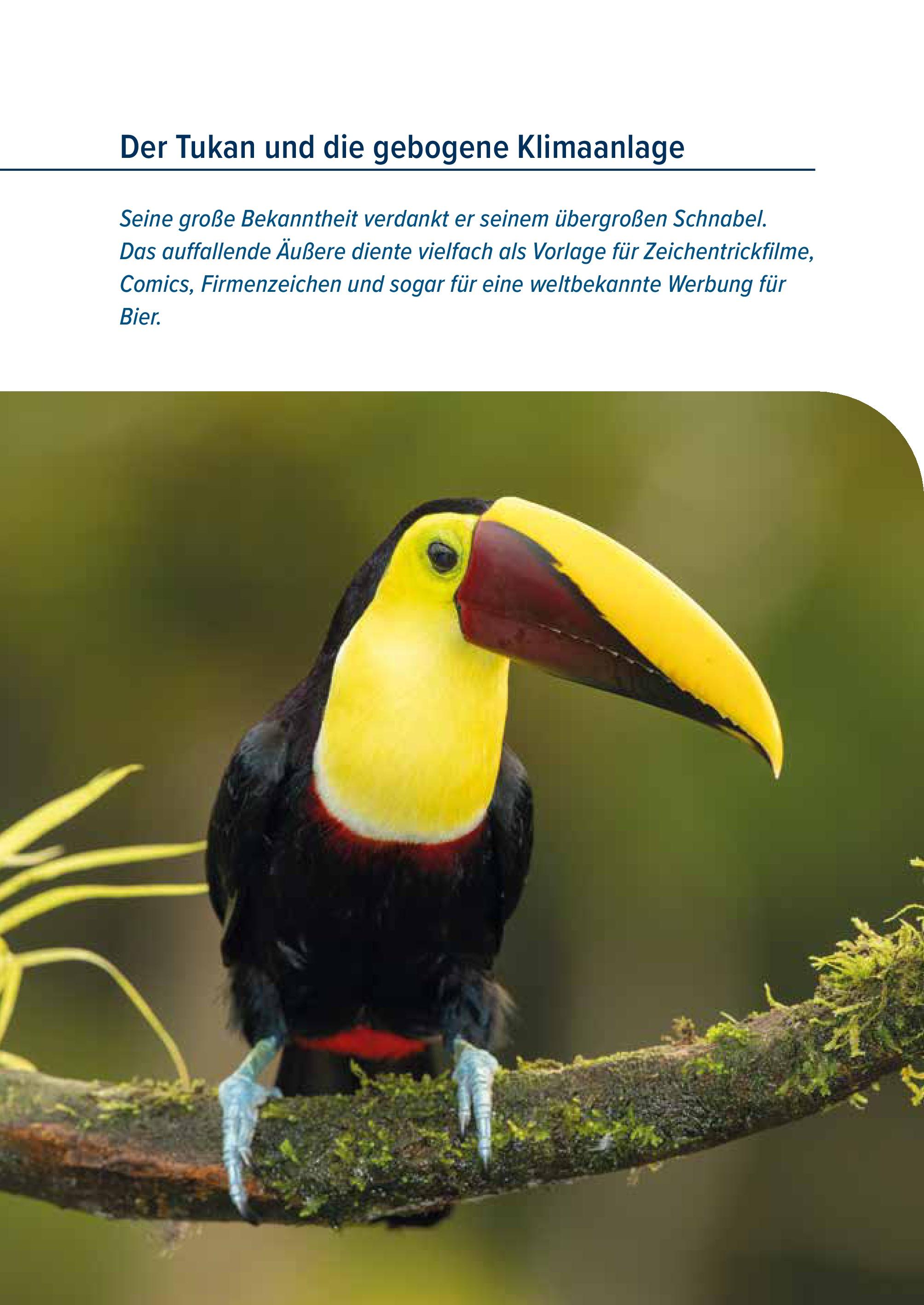 Beispielinhalt (Bild) Der Rabe und der schlechte Leumund