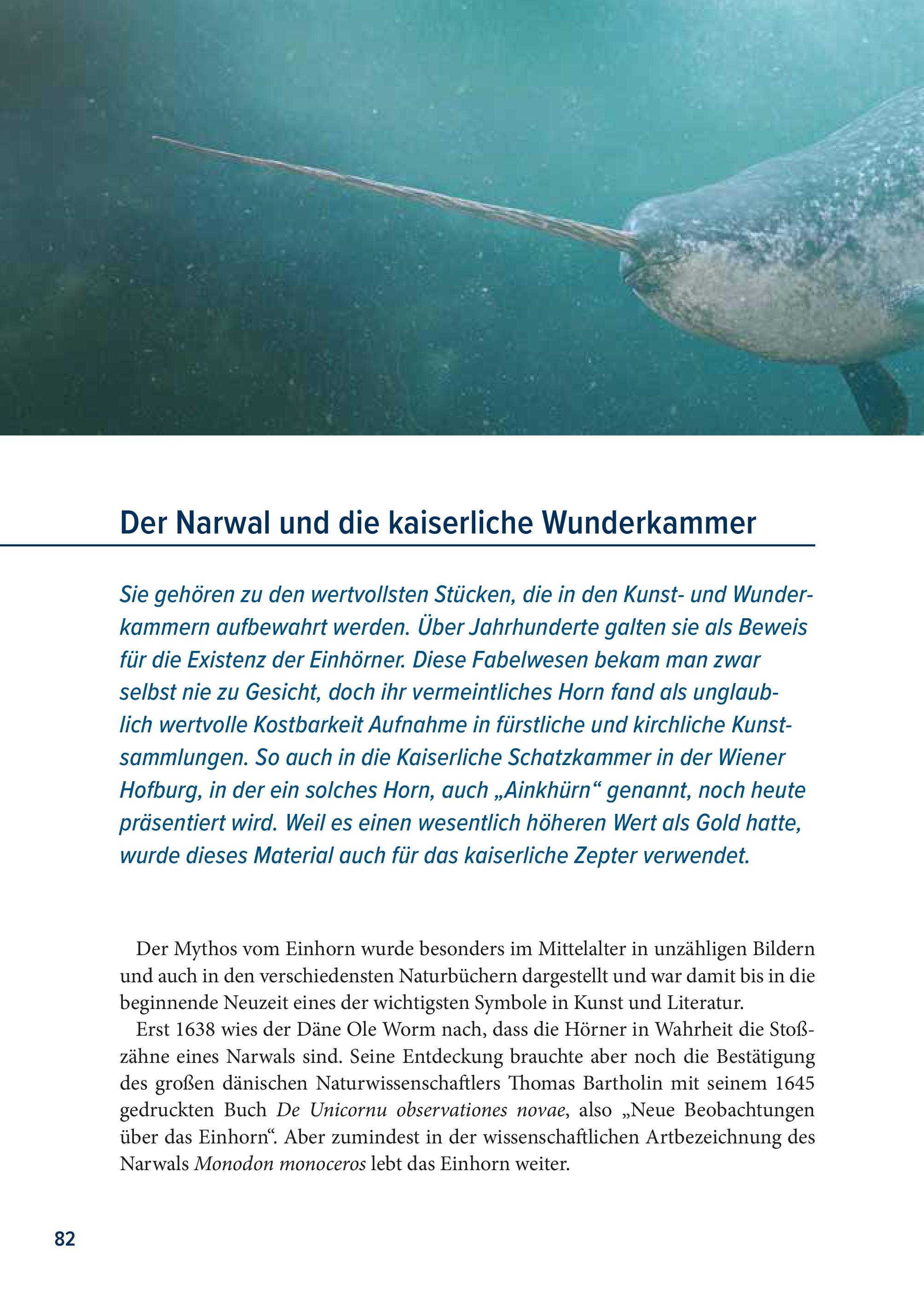 Beispielinhalt (Bild) Der Rabe und der schlechte Leumund