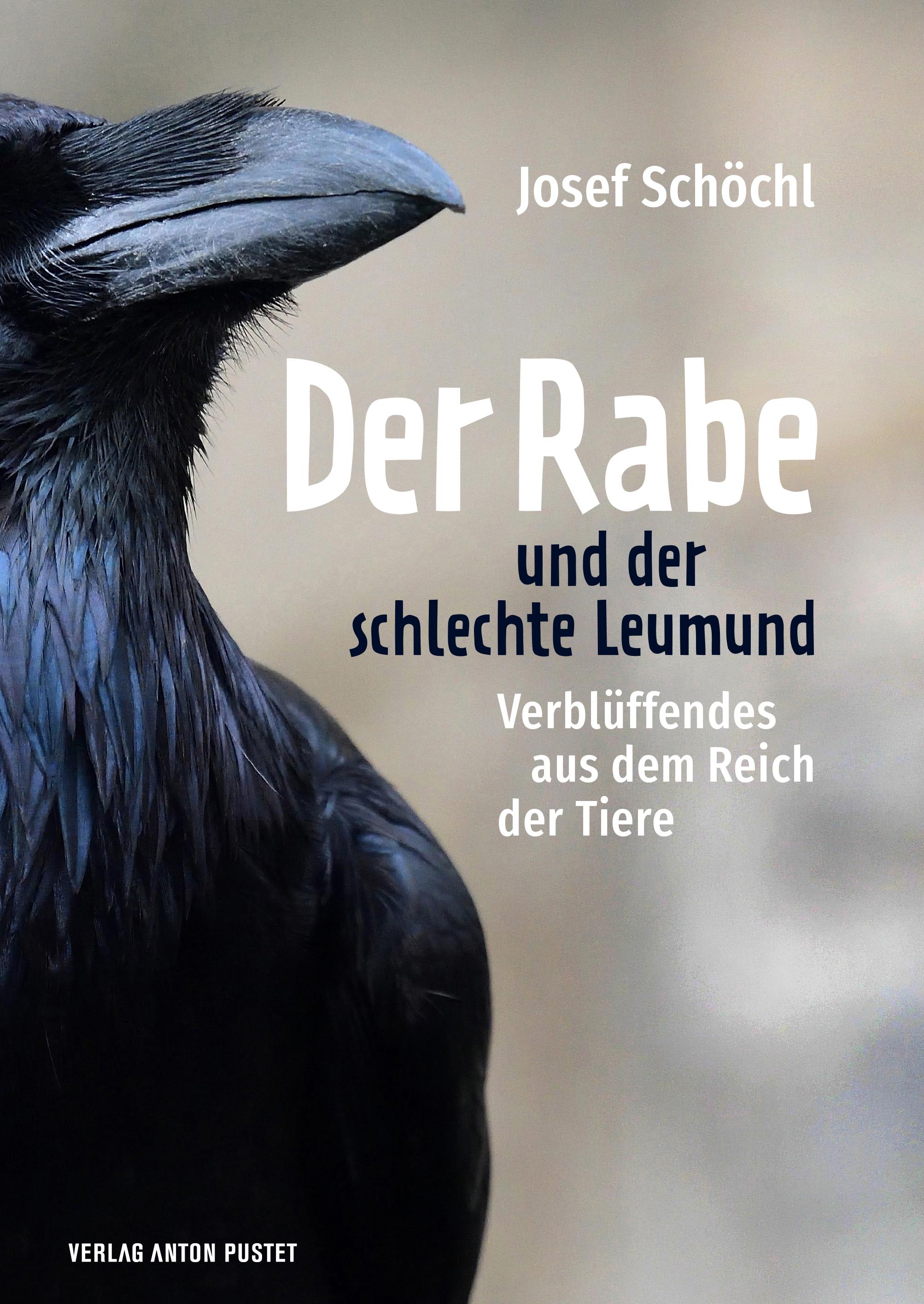 Vorderes Coverbild Der Rabe und der schlechte Leumund