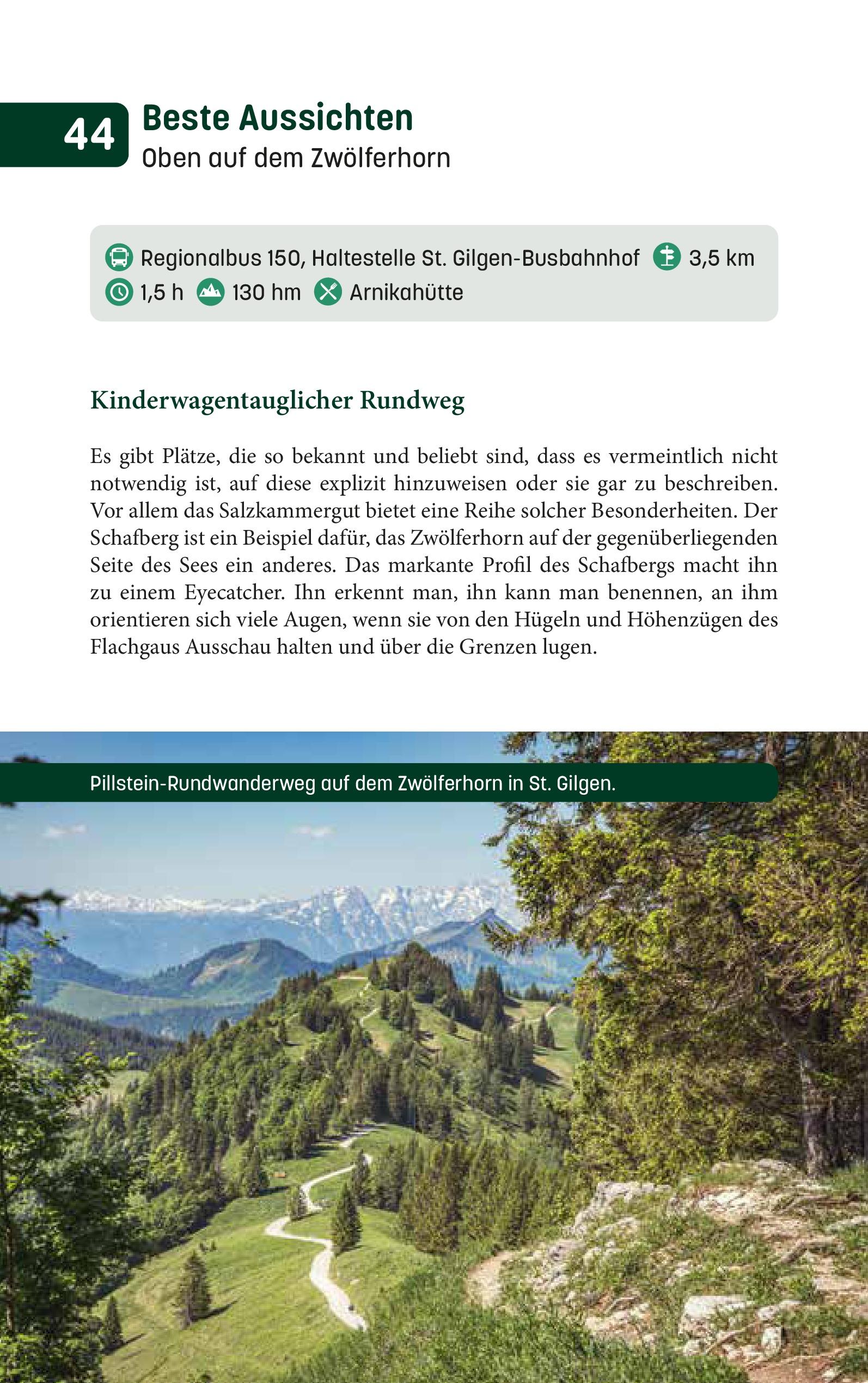 Beispielinhalt (Bild) Wandern mit Weitblick / Wandern mit Weitblick im Flachgau