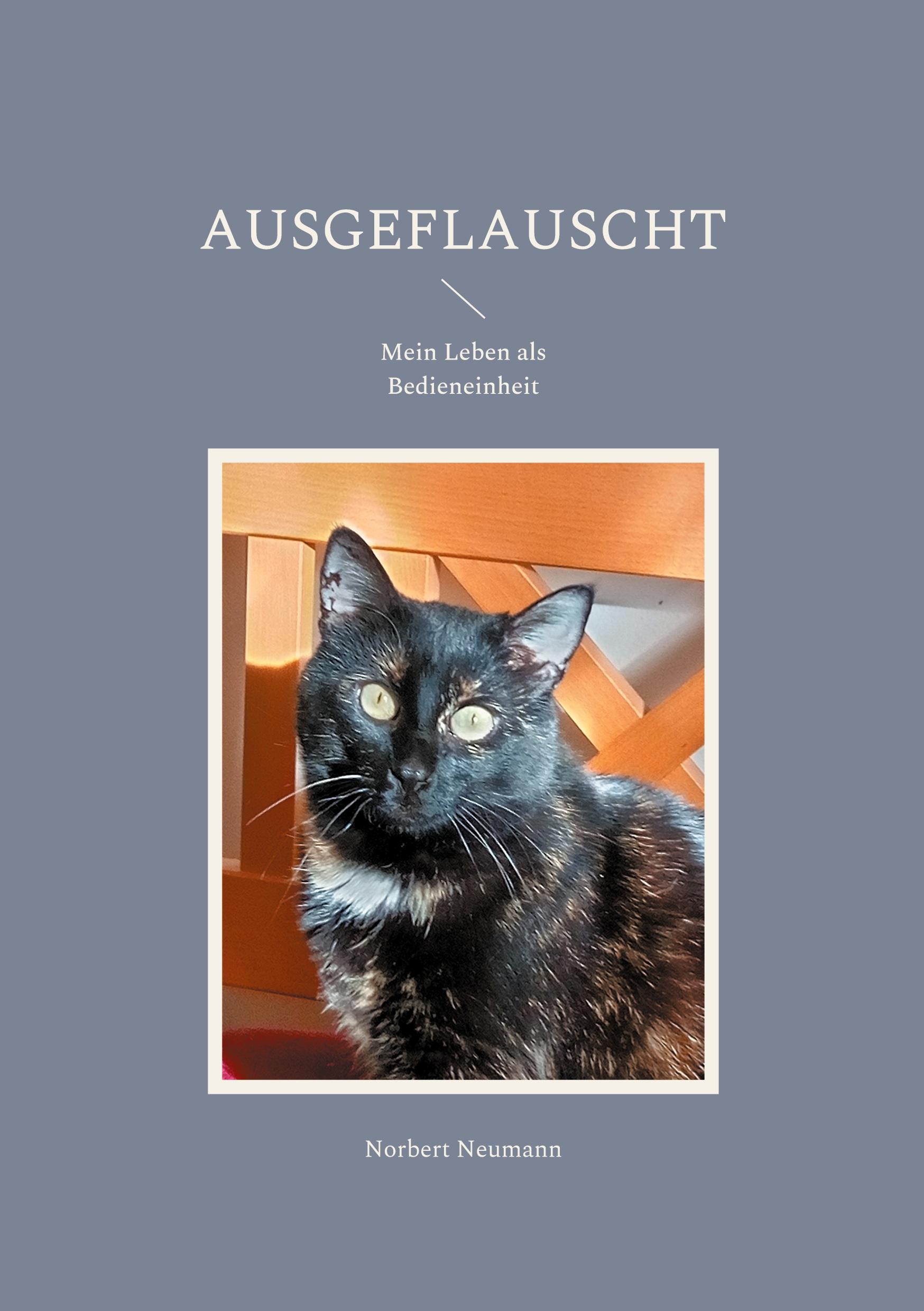 Vorderes Coverbild Ausgeflauscht