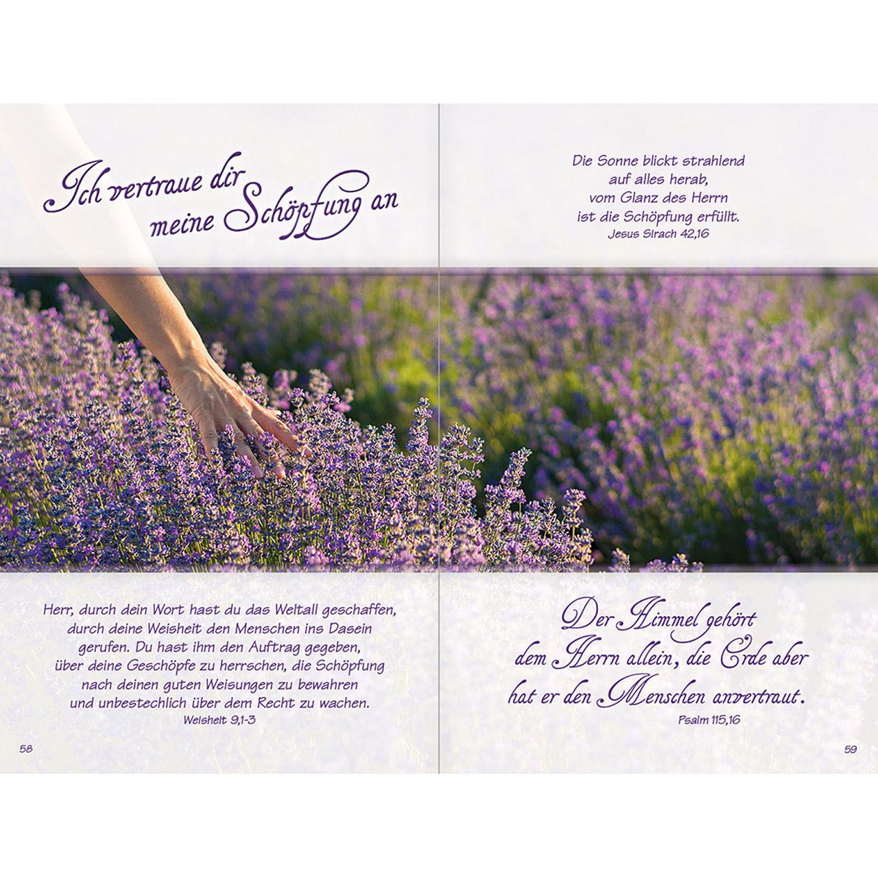 Beispielinhalt (Bild) Ich bin dir nah und für dich da