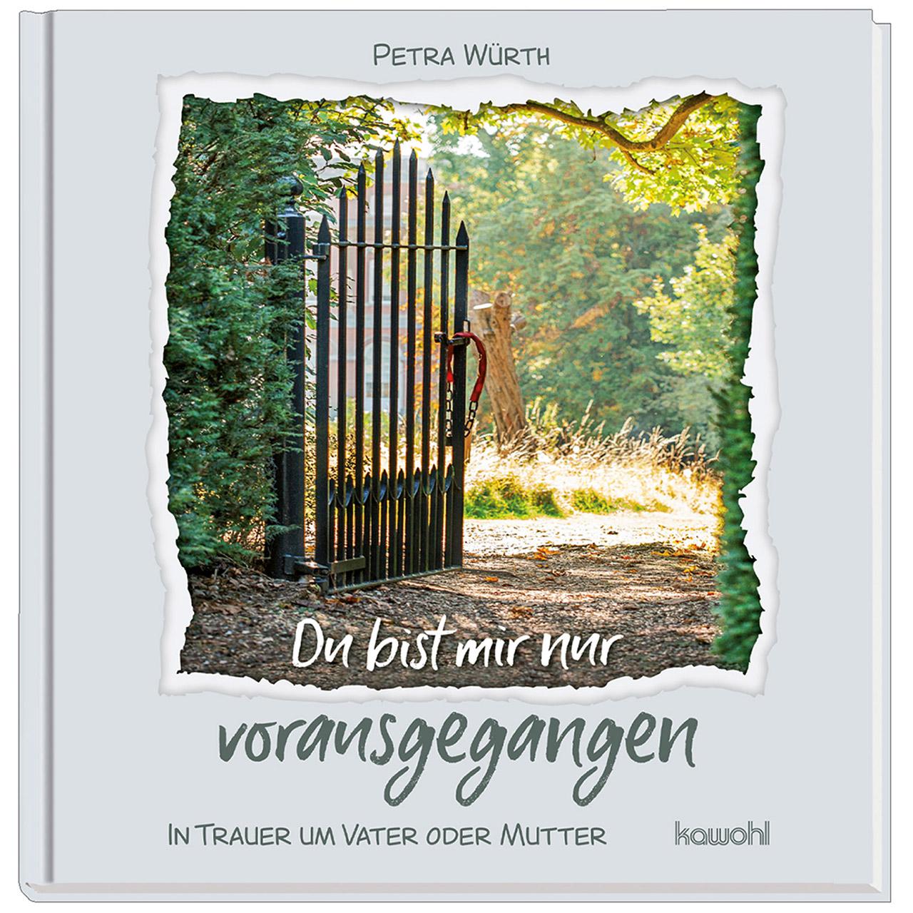 Vorderes Coverbild Du bist mir nur vorausgegangen