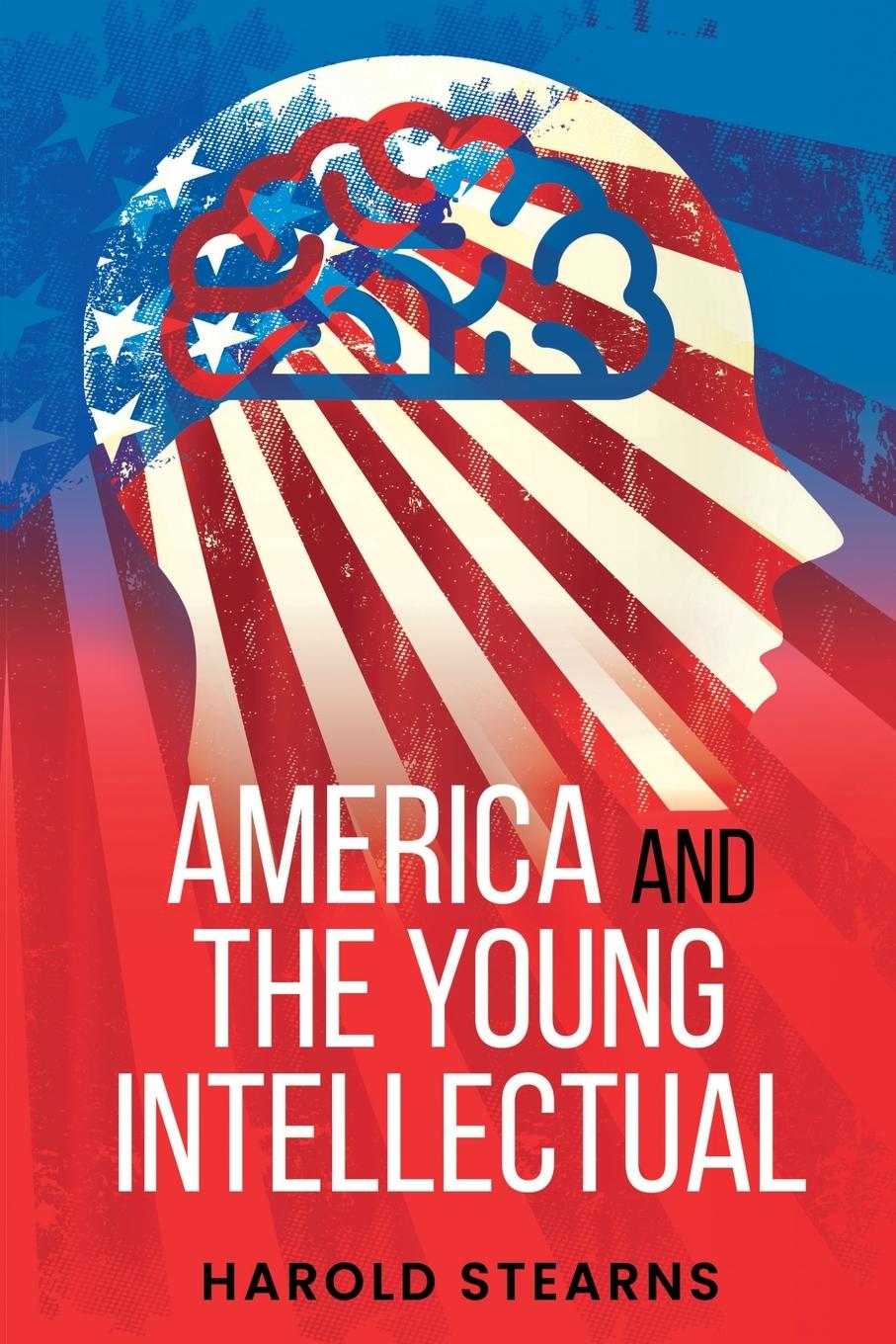 Vorderes Coverbild America and the Young Intellectual