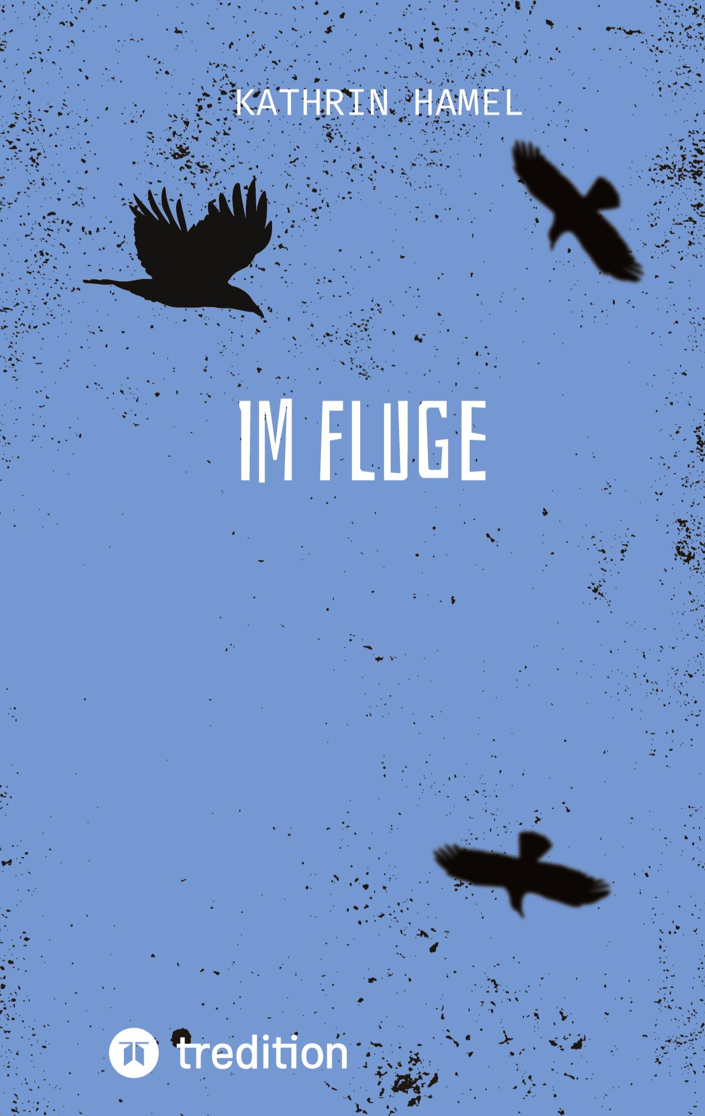 Vorderes Coverbild Im Fluge