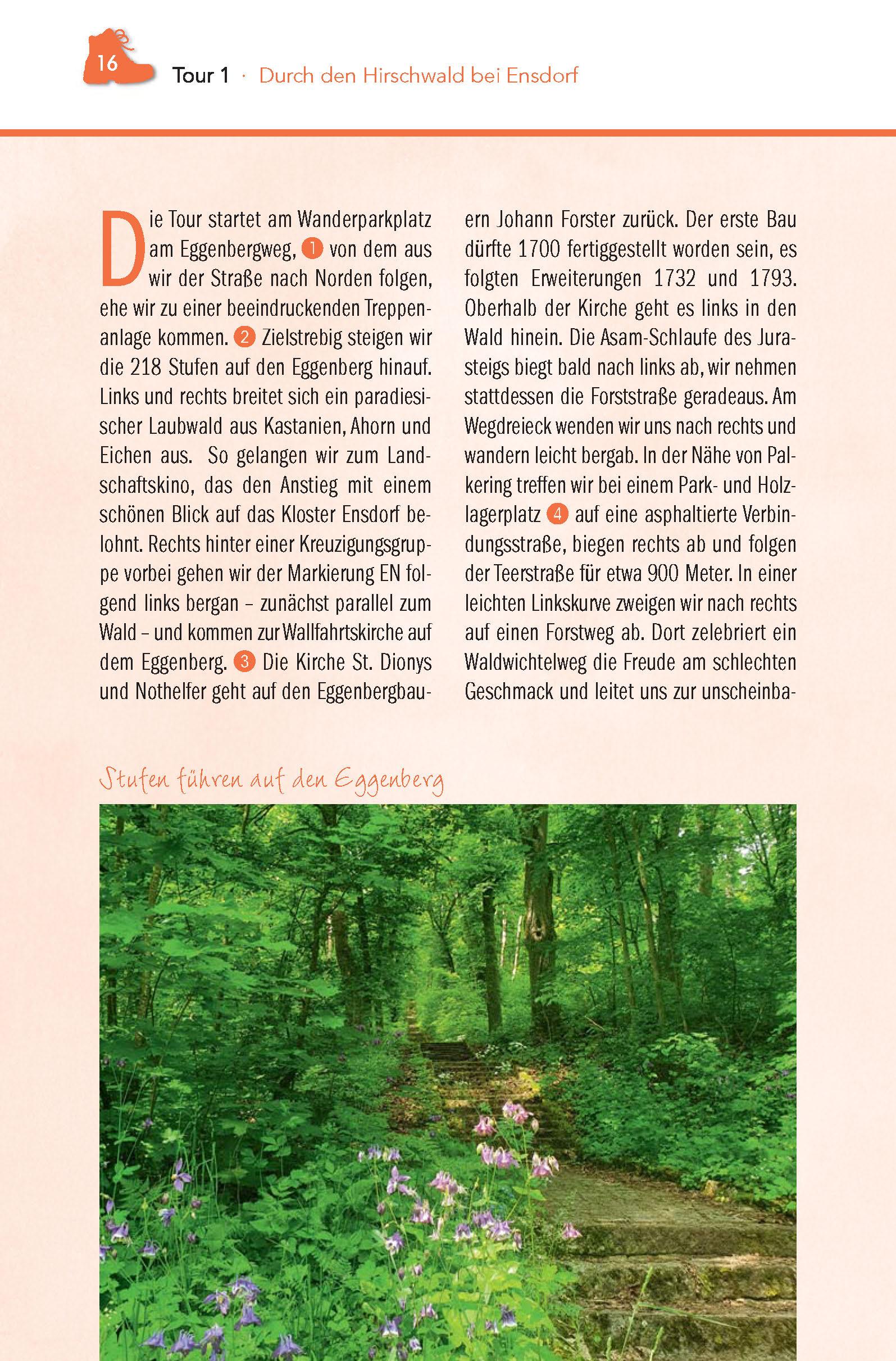 Beispielinhalt (Bild) Wanderführer Hirschwald