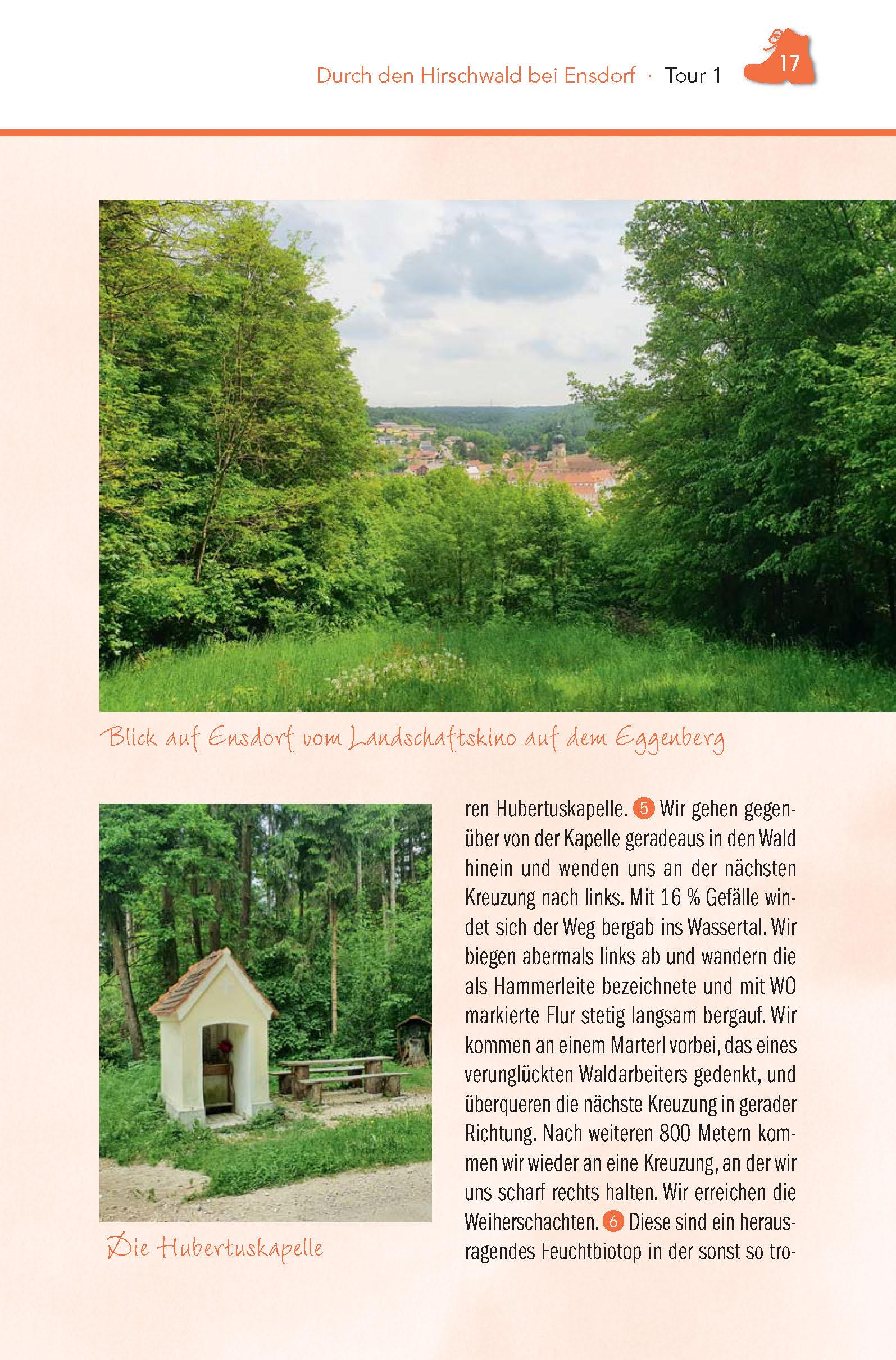 Beispielinhalt (Bild) Wanderführer Hirschwald