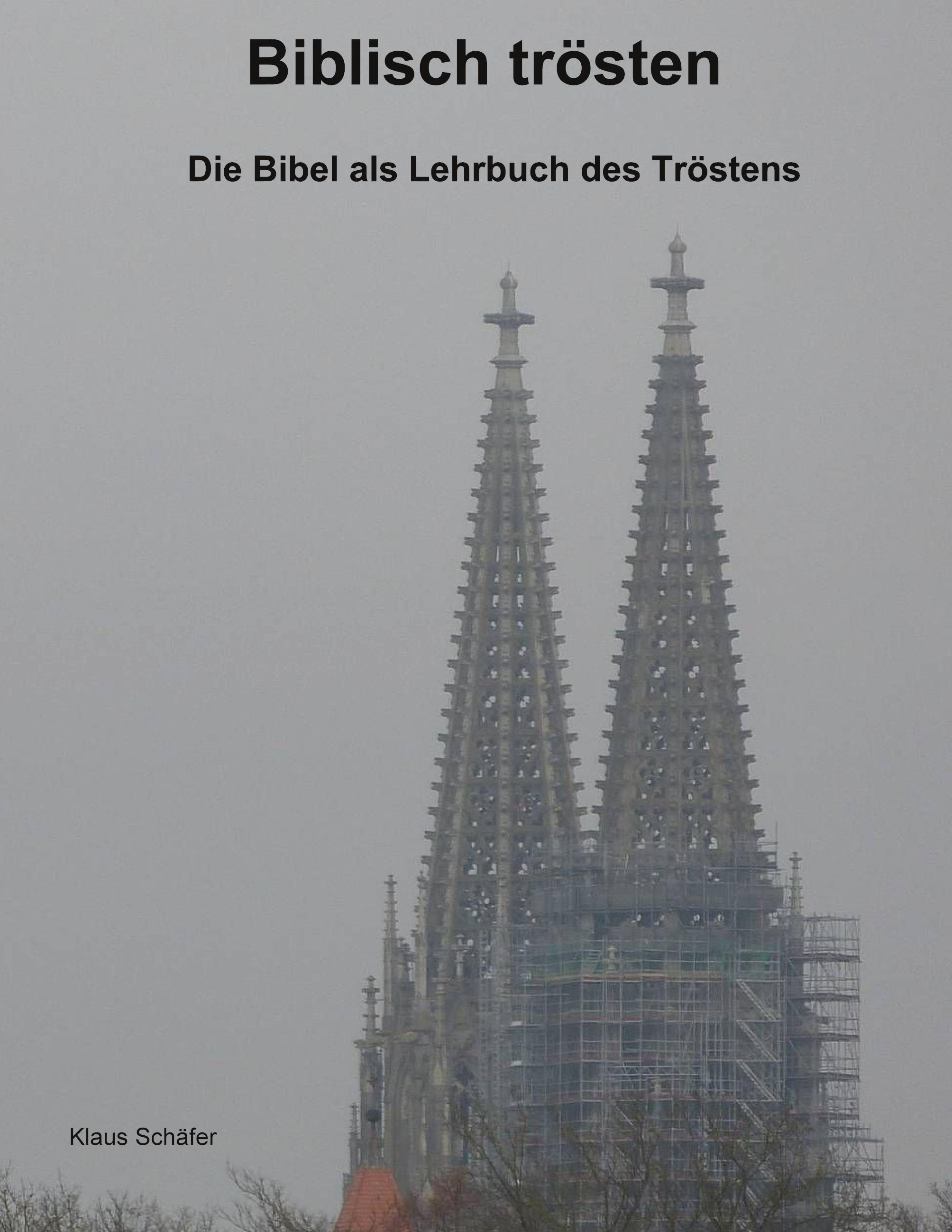 Vorderes Coverbild Biblisch trösten