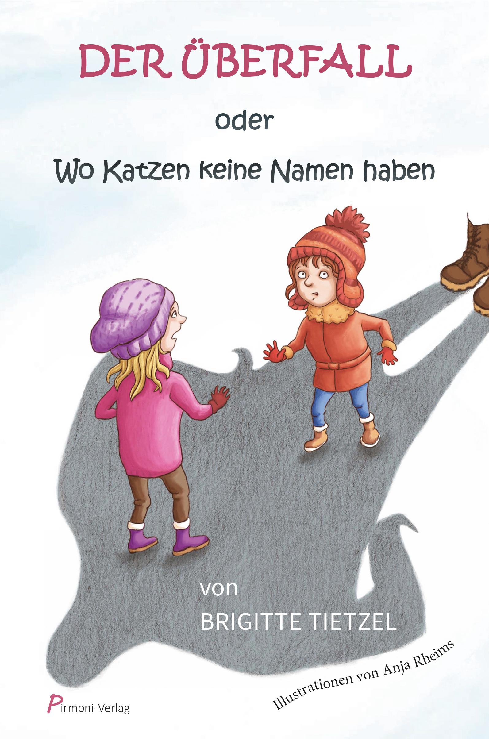 Vorderes Coverbild Der Überfall