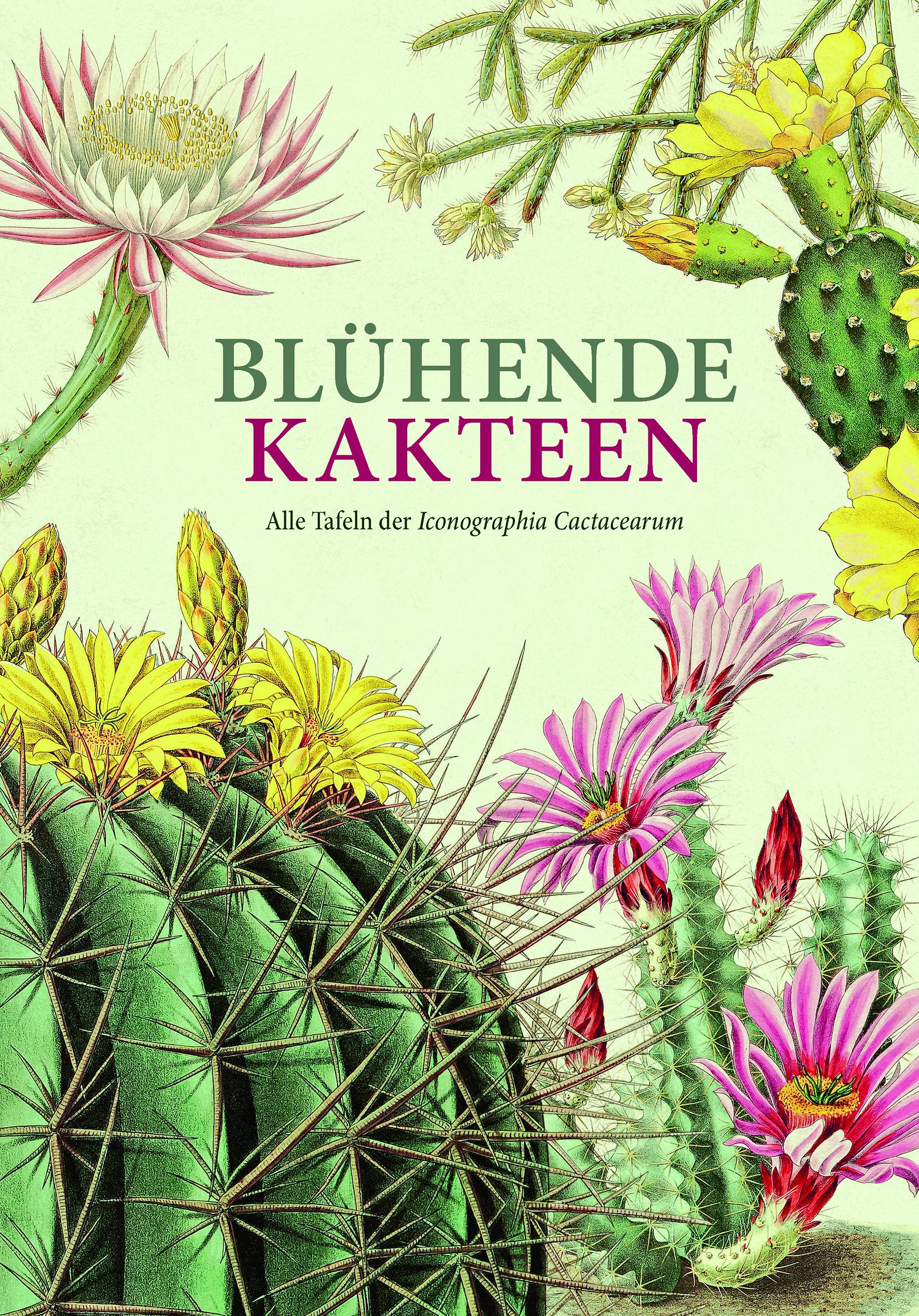 Vorderes Coverbild Blühende Kakteen