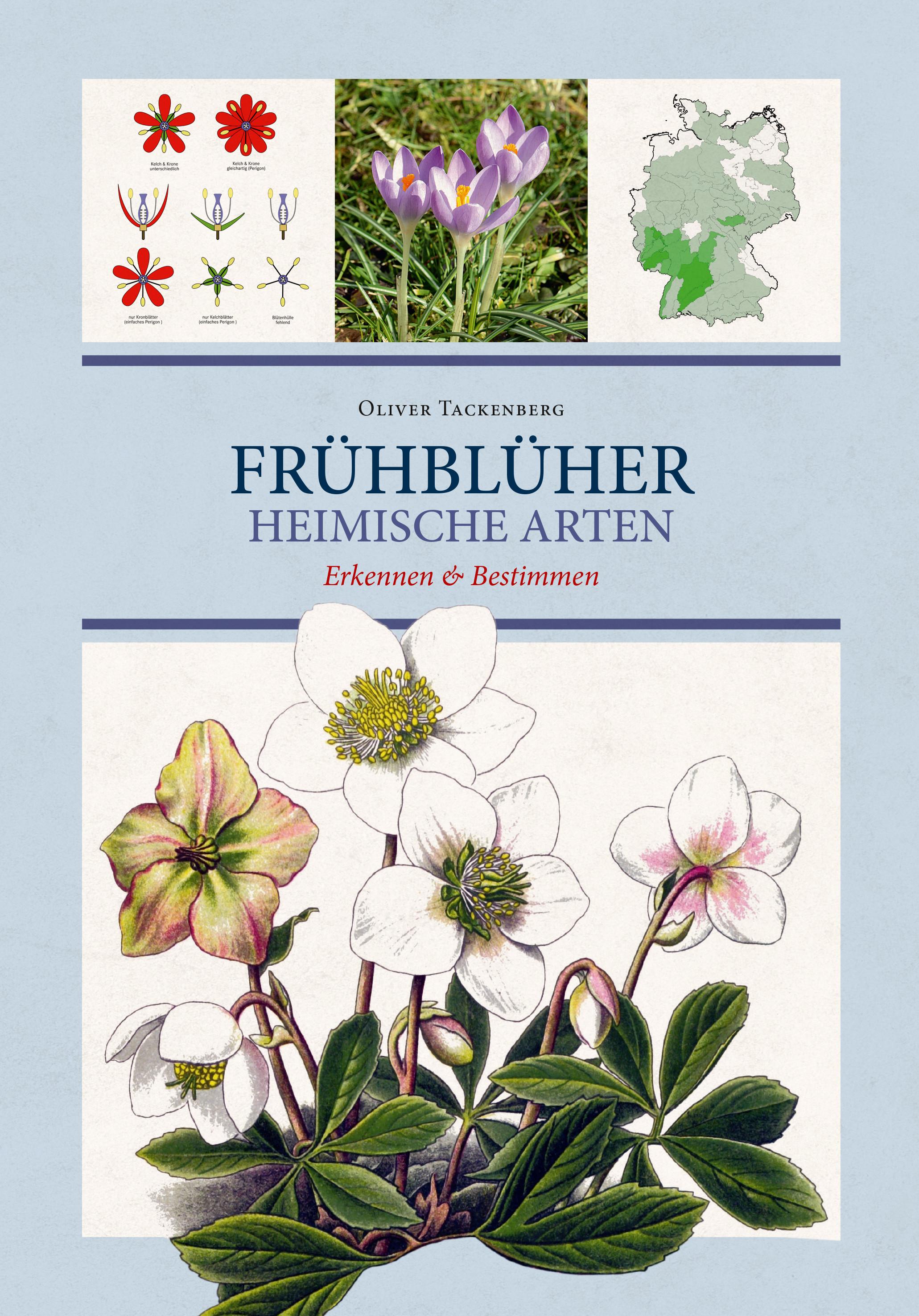Vorderes Coverbild Frühblüher. Heimische Arten.