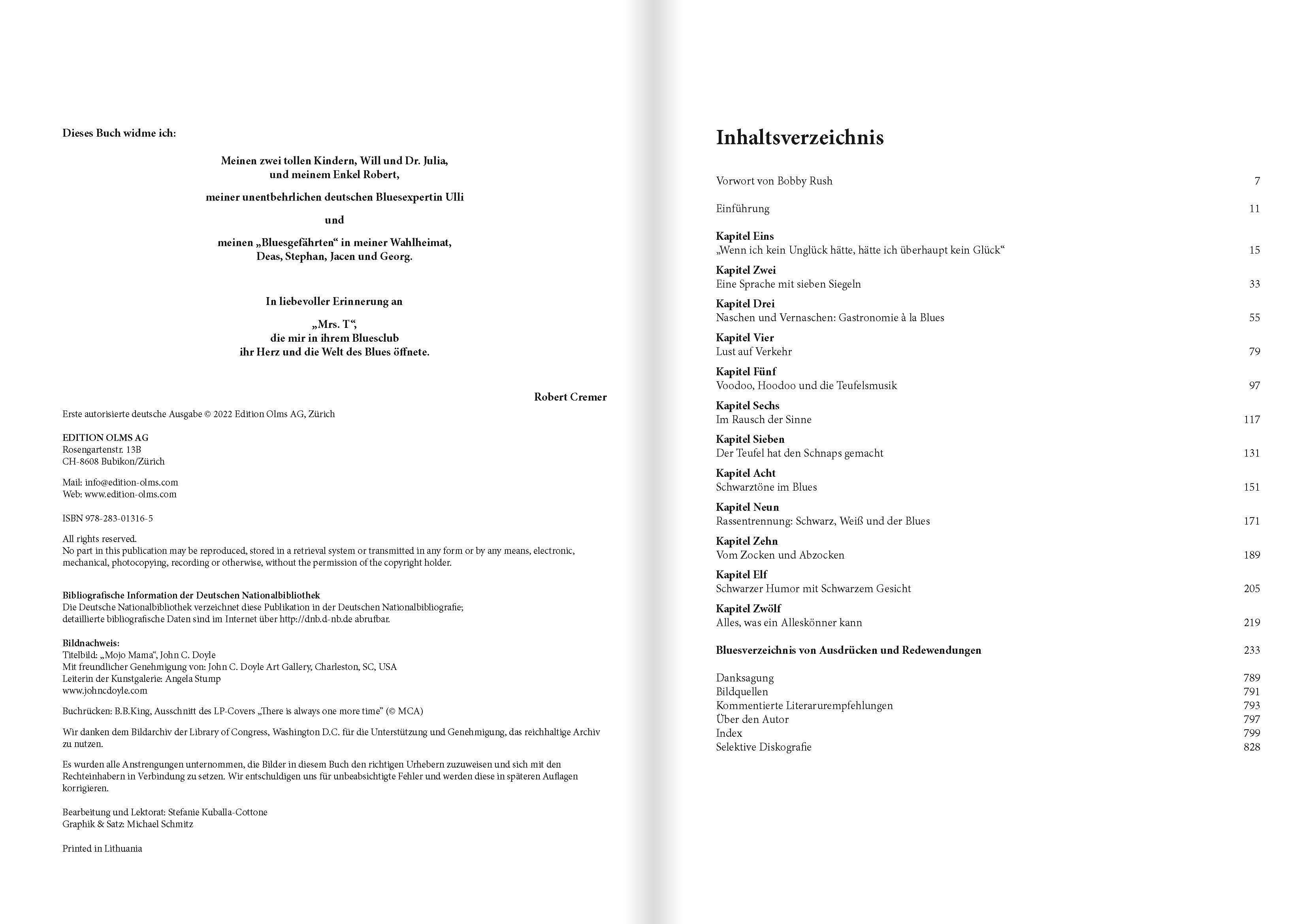 Beispielinhalt (Bild) Die Geheimsprache des Blues