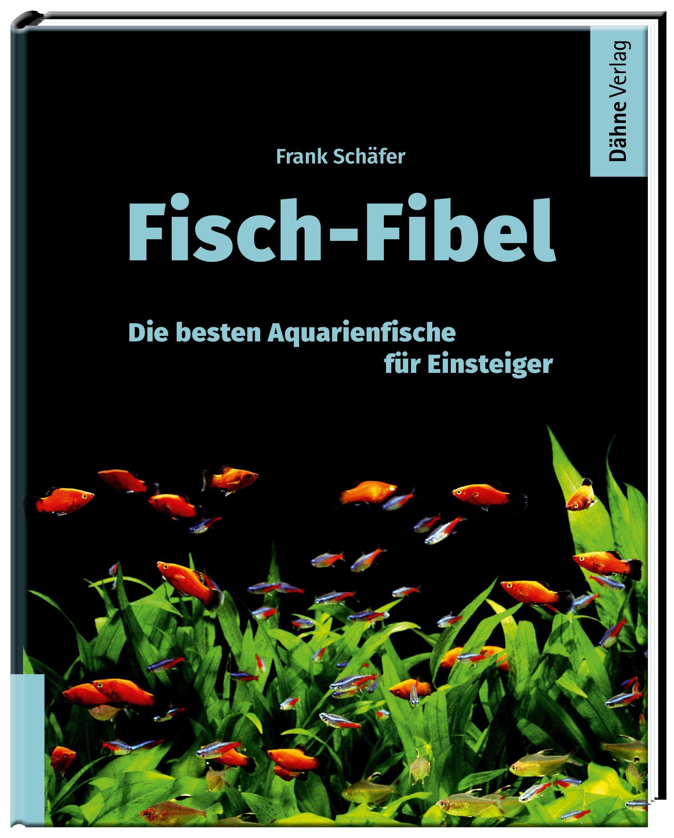 Vorderes Coverbild Fisch-Fibel