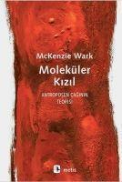 Vorderes Coverbild Moleküler Kizil