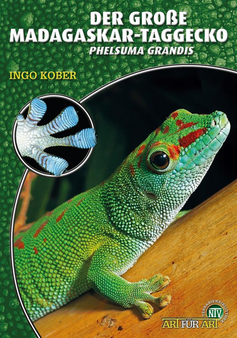 Vorderes Coverbild Der Große Madagaskar-Taggecko
