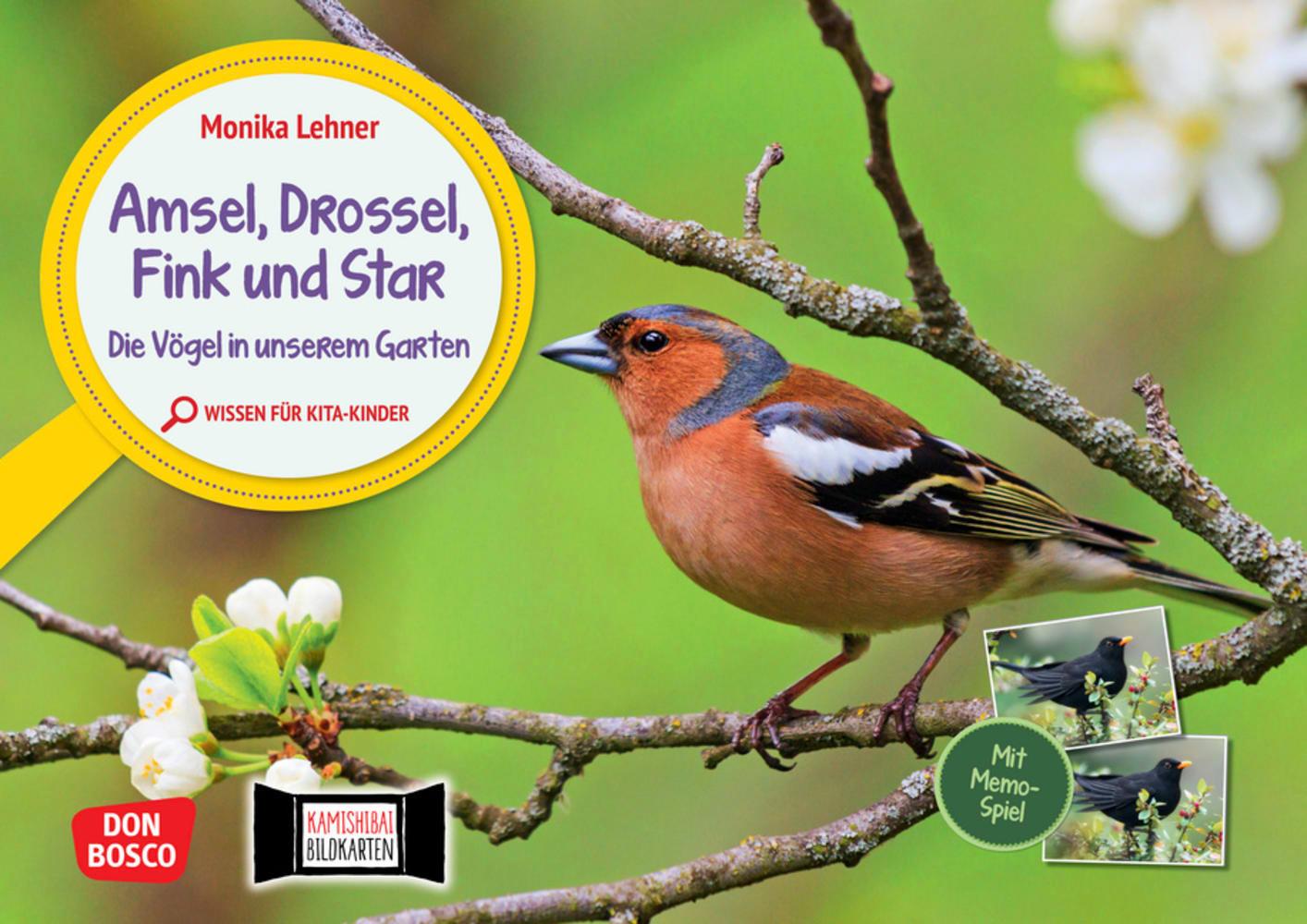 Vorderes Coverbild Amsel, Drossel, Fink und Star. Die Vögel in unserem Garten. Kamishibai Bildkarten und Memo-Spiel
