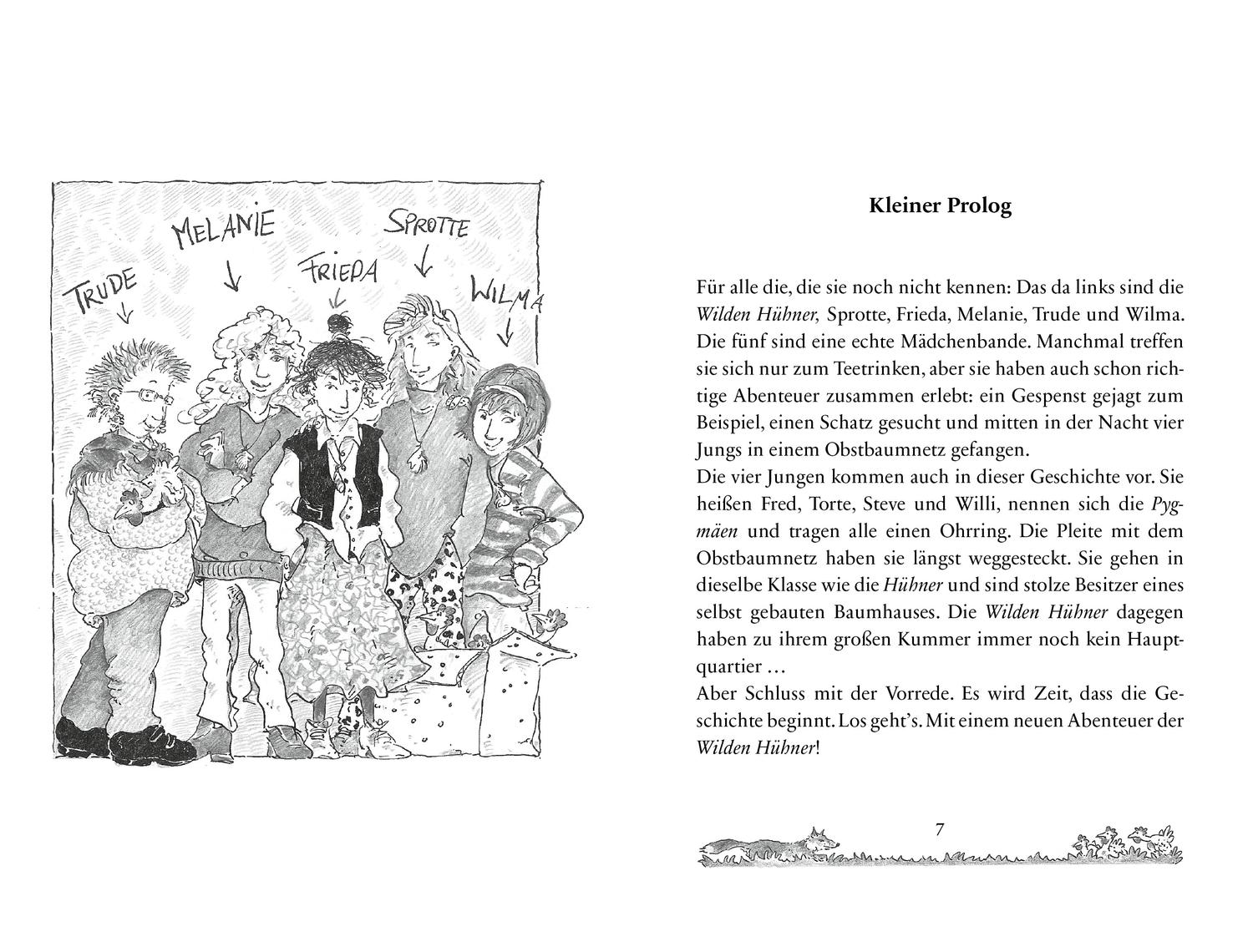 Beispielinhalt (Bild) Die Wilden Hühner 3. Fuchsalarm