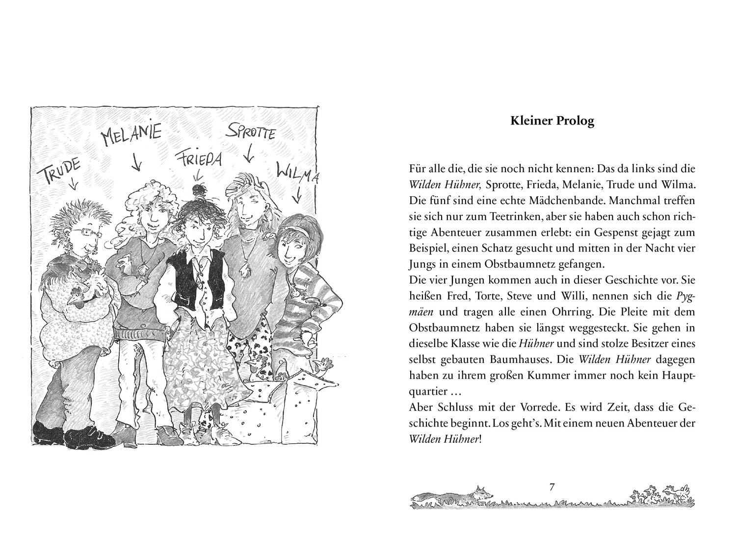 Beispielinhalt (Bild) Die Wilden Hühner 3. Fuchsalarm